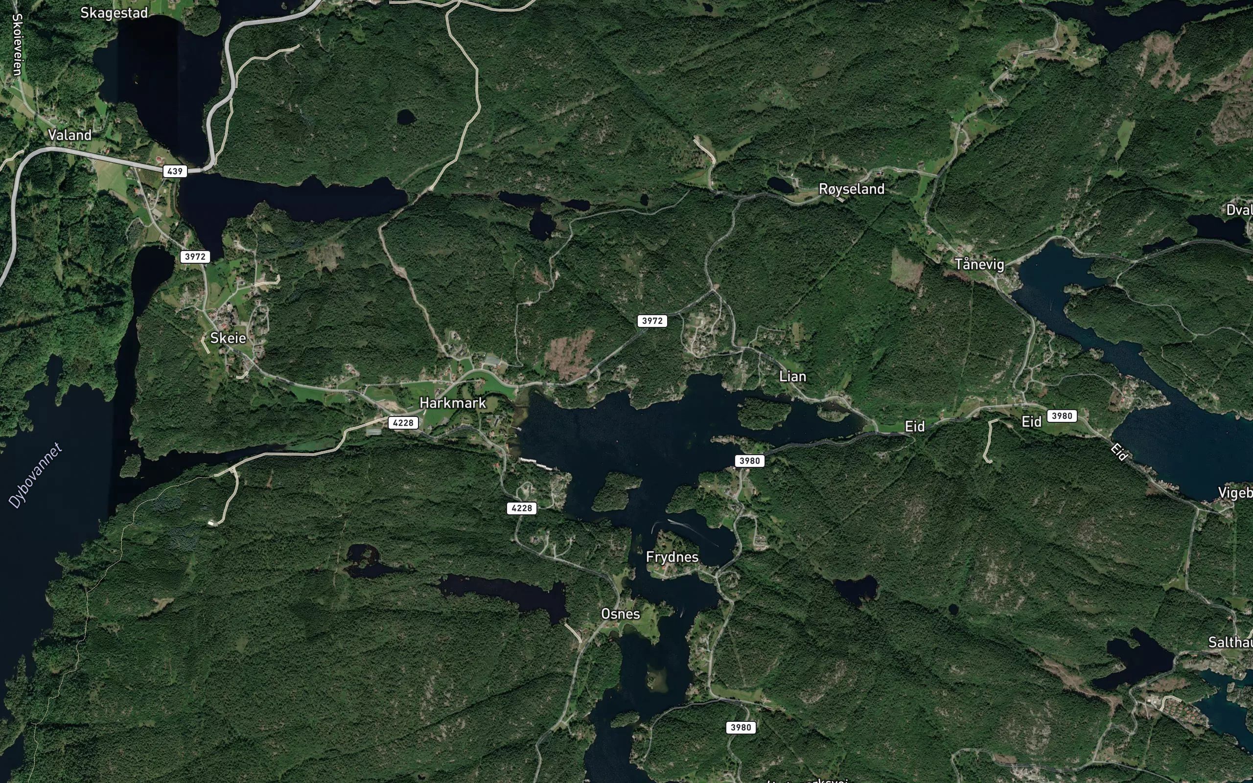 Kavika