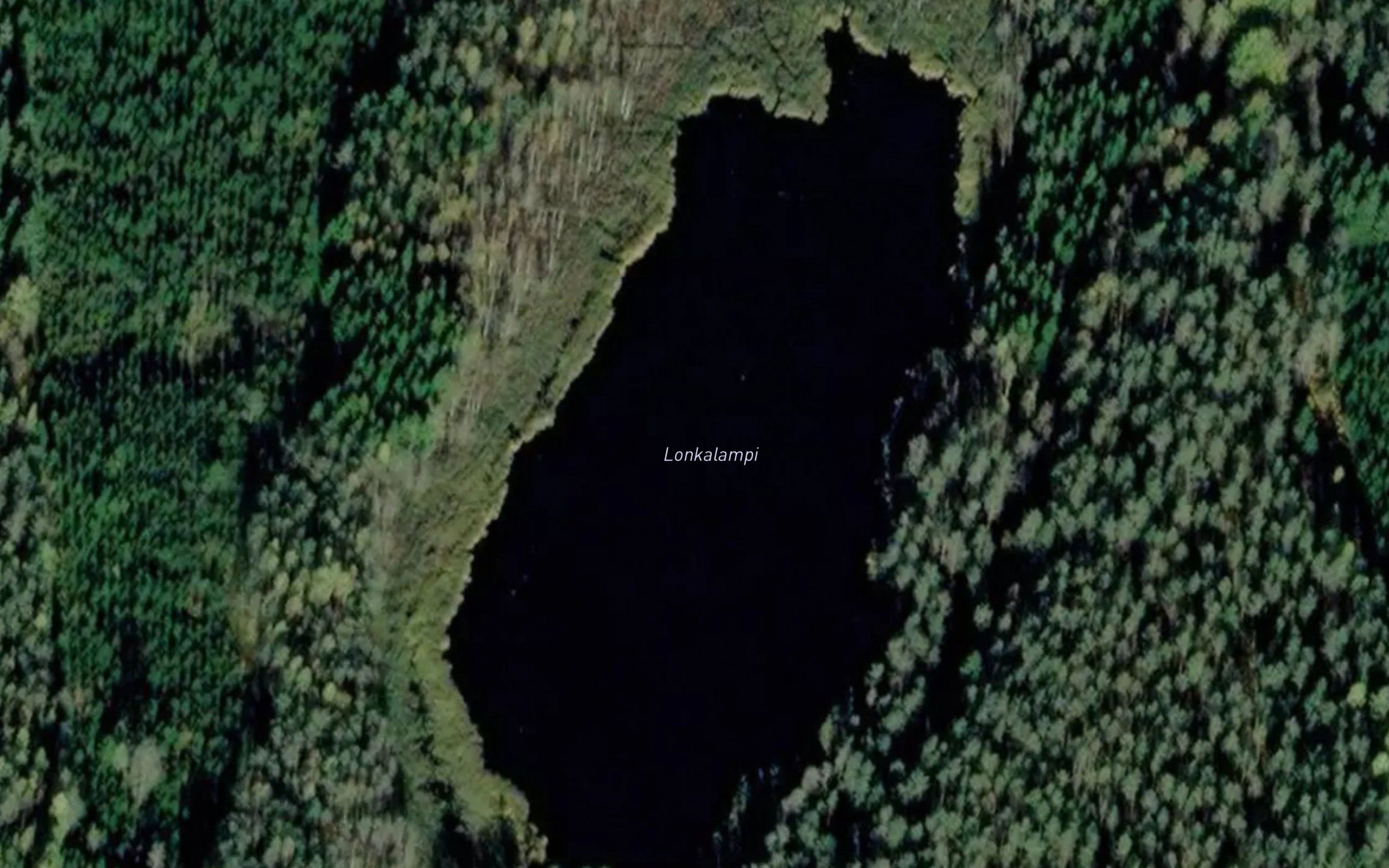 Lonkalampi