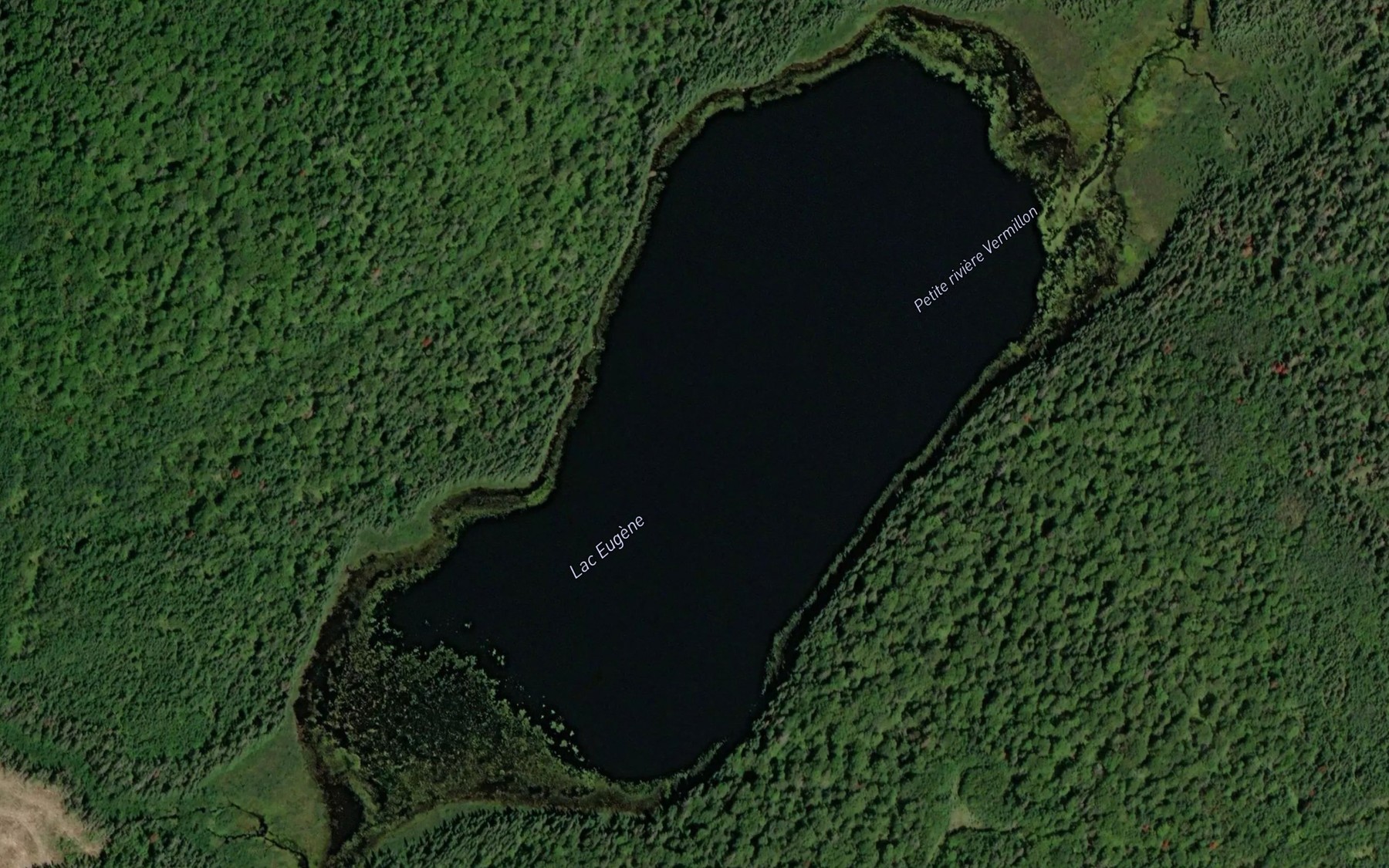 Satellite map of the Lac Eugene