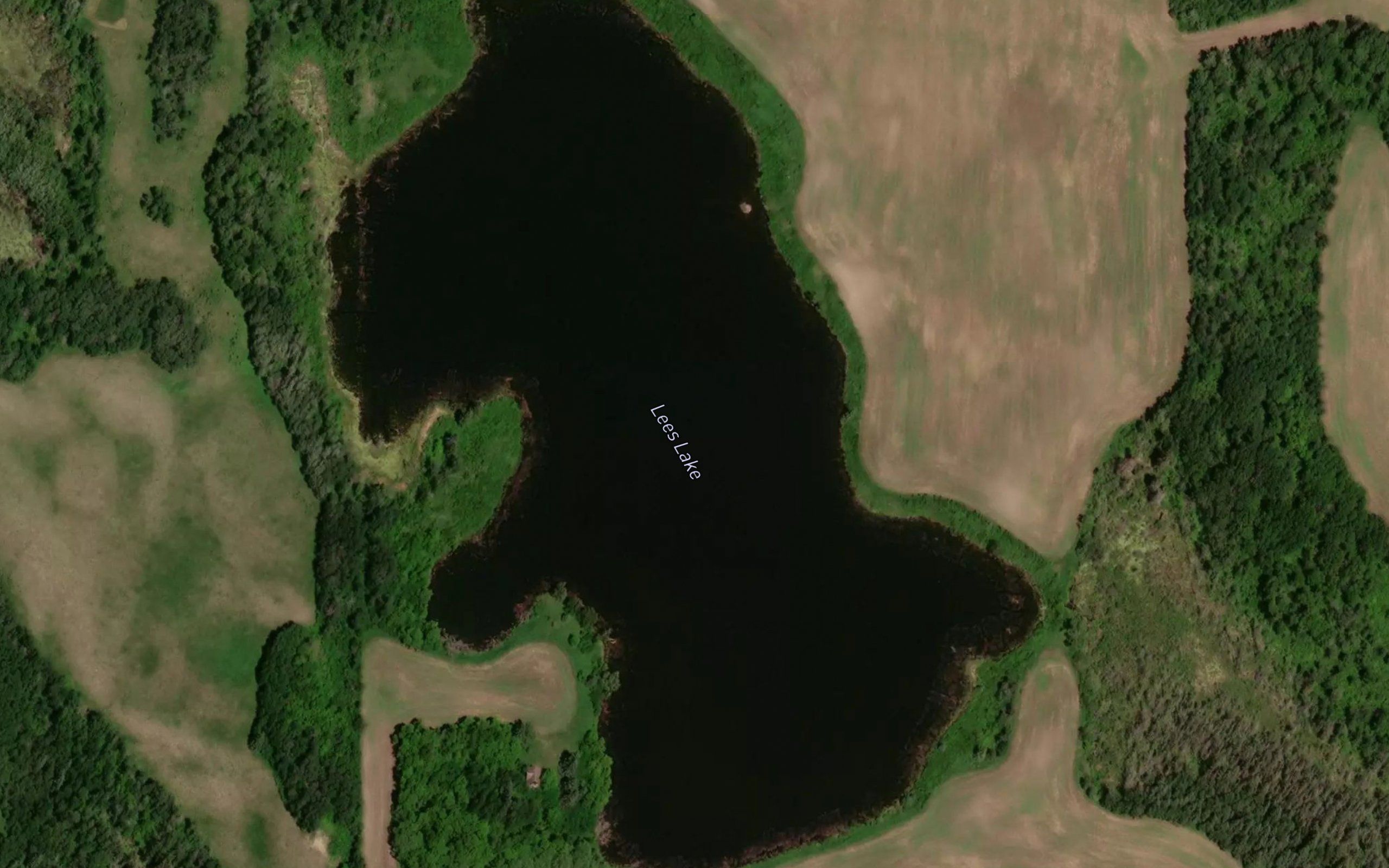 Lees Lake