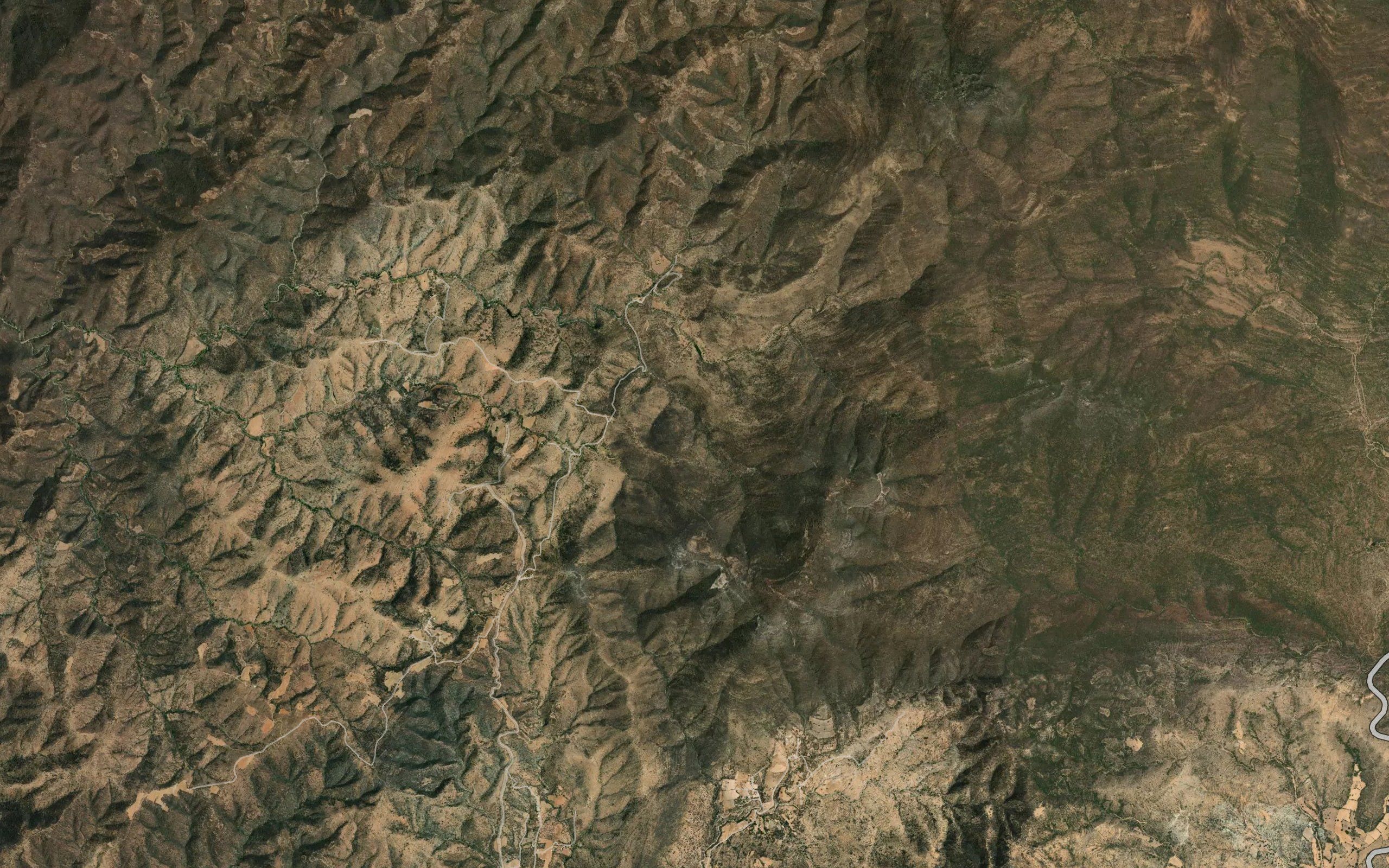 Jarilla