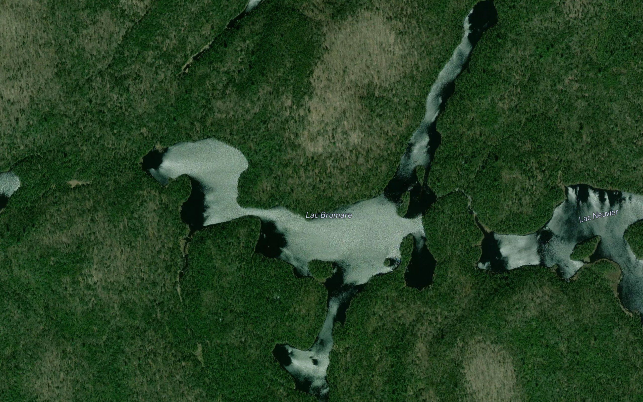 Lac Brumare