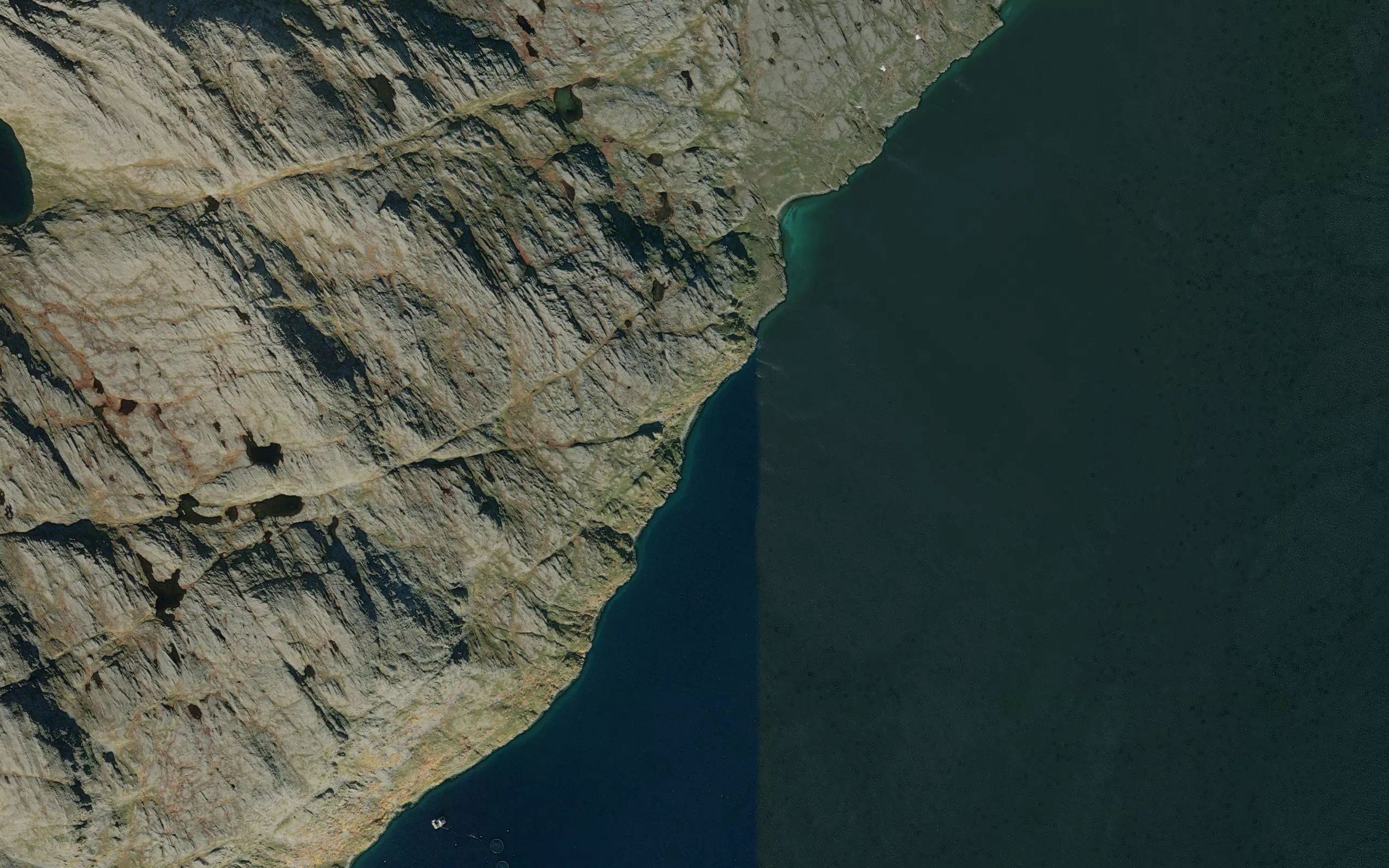 Krakvika