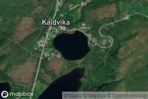 Damlivatnet
