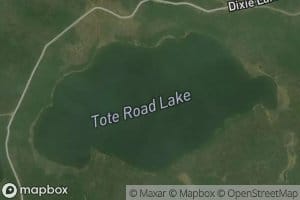 Tote Road Lake