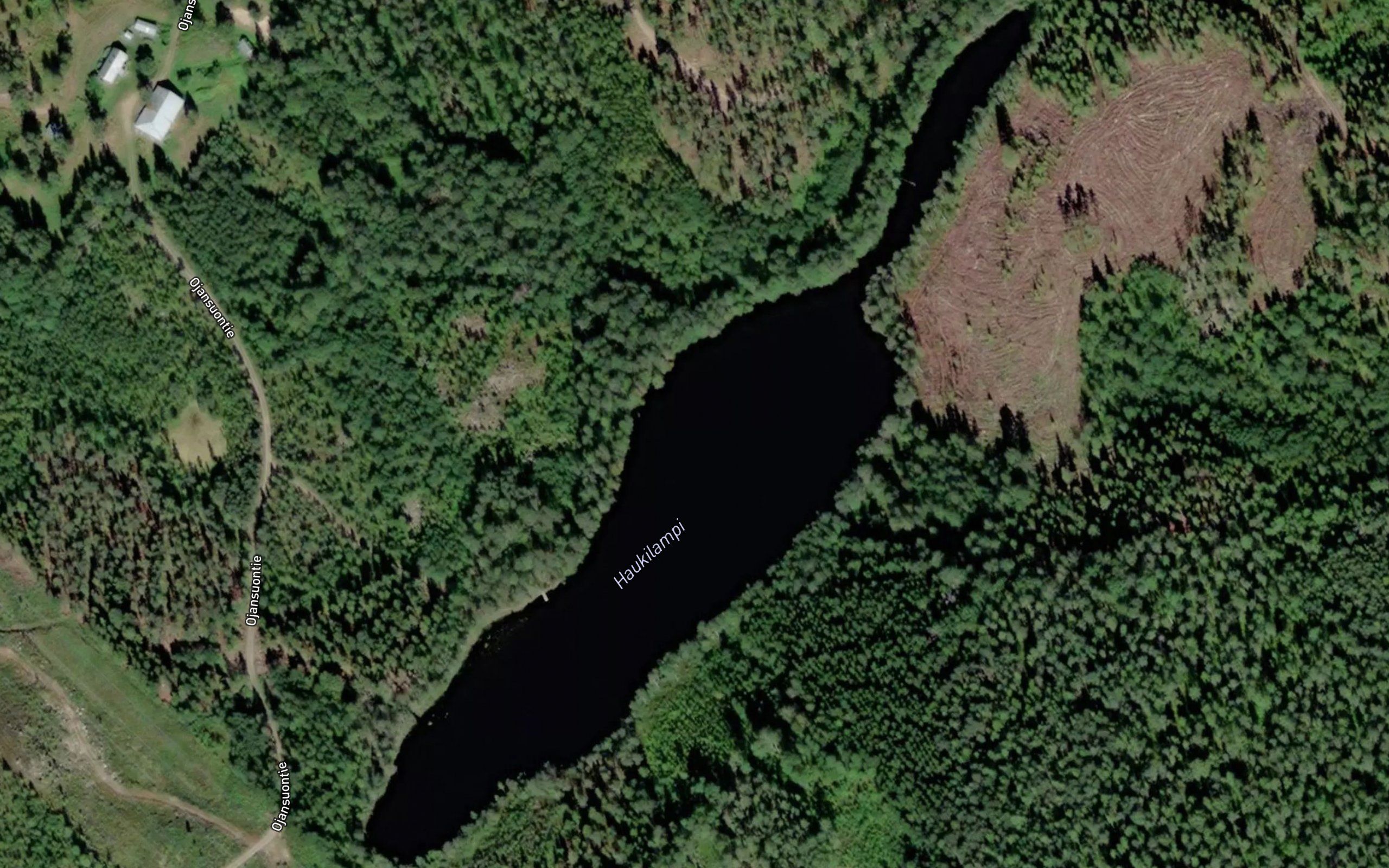 Haukilampi