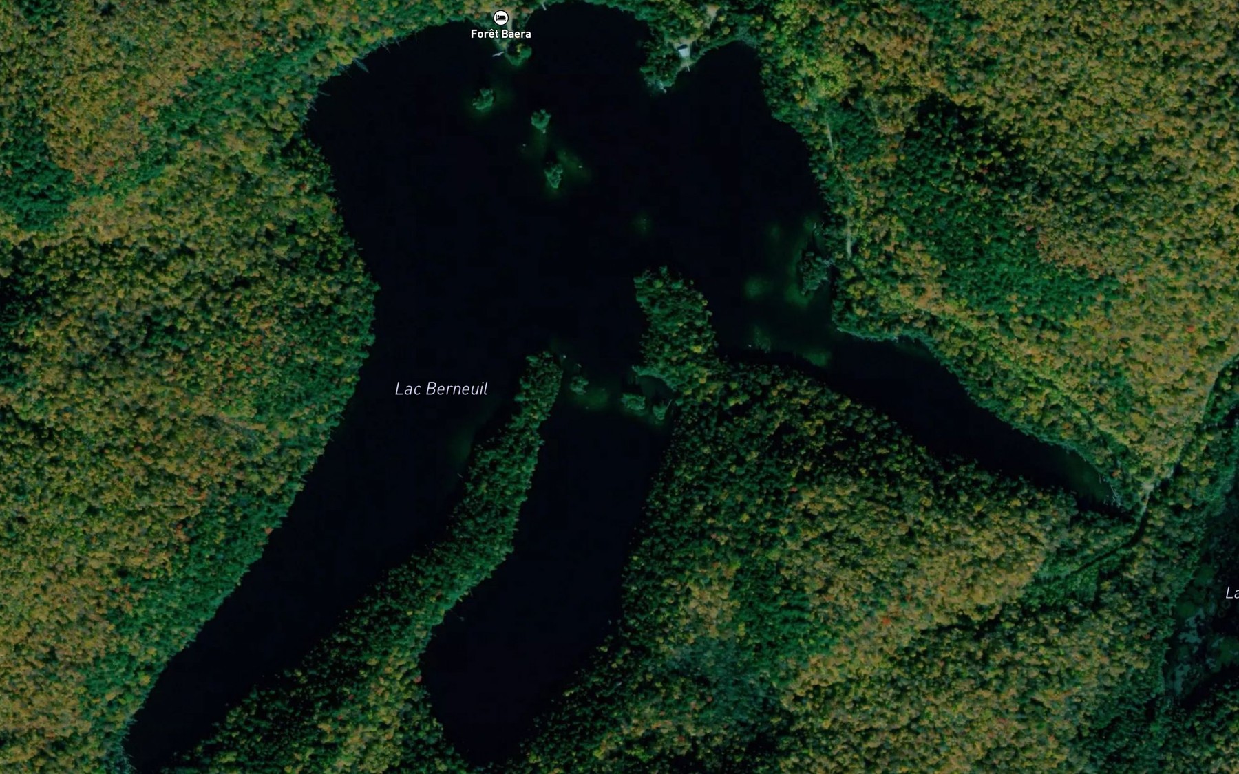 Satellite map of the Lac Berneuil