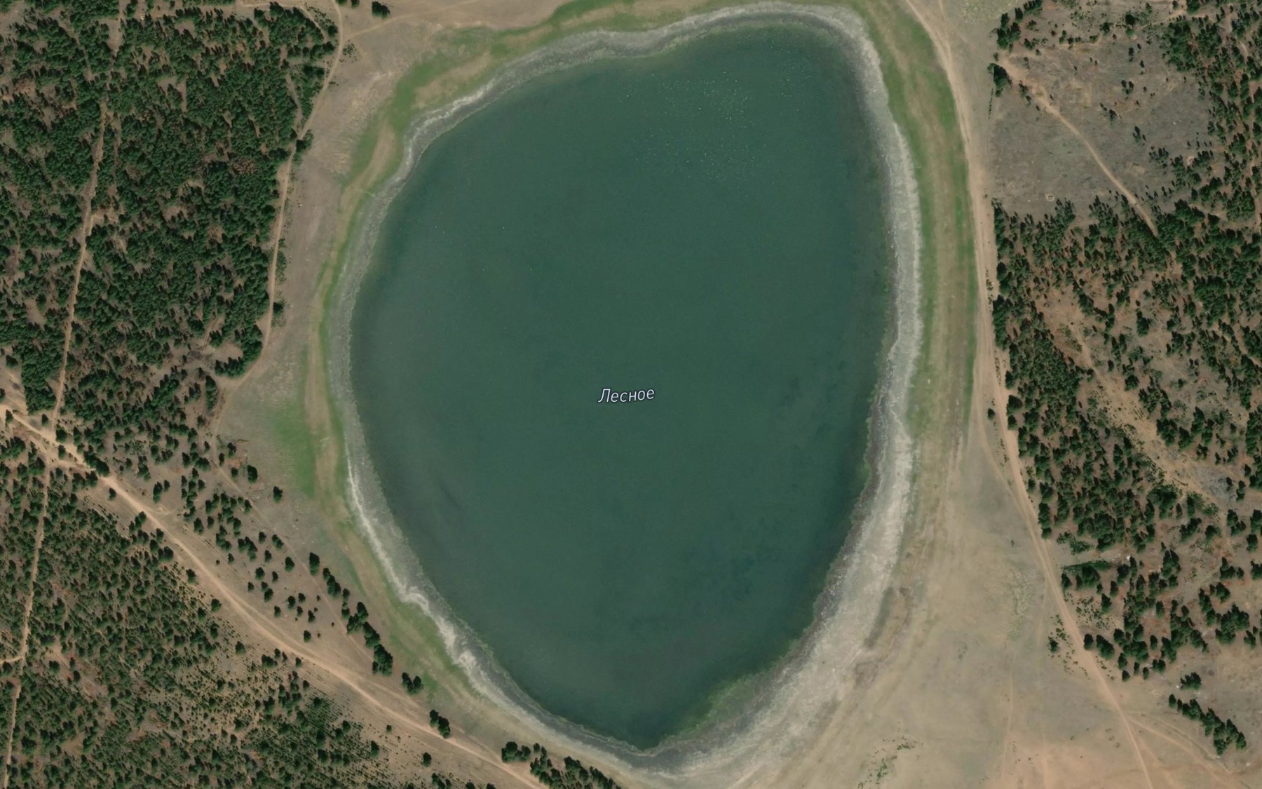 Satellite map of the Ozero Lesnoye