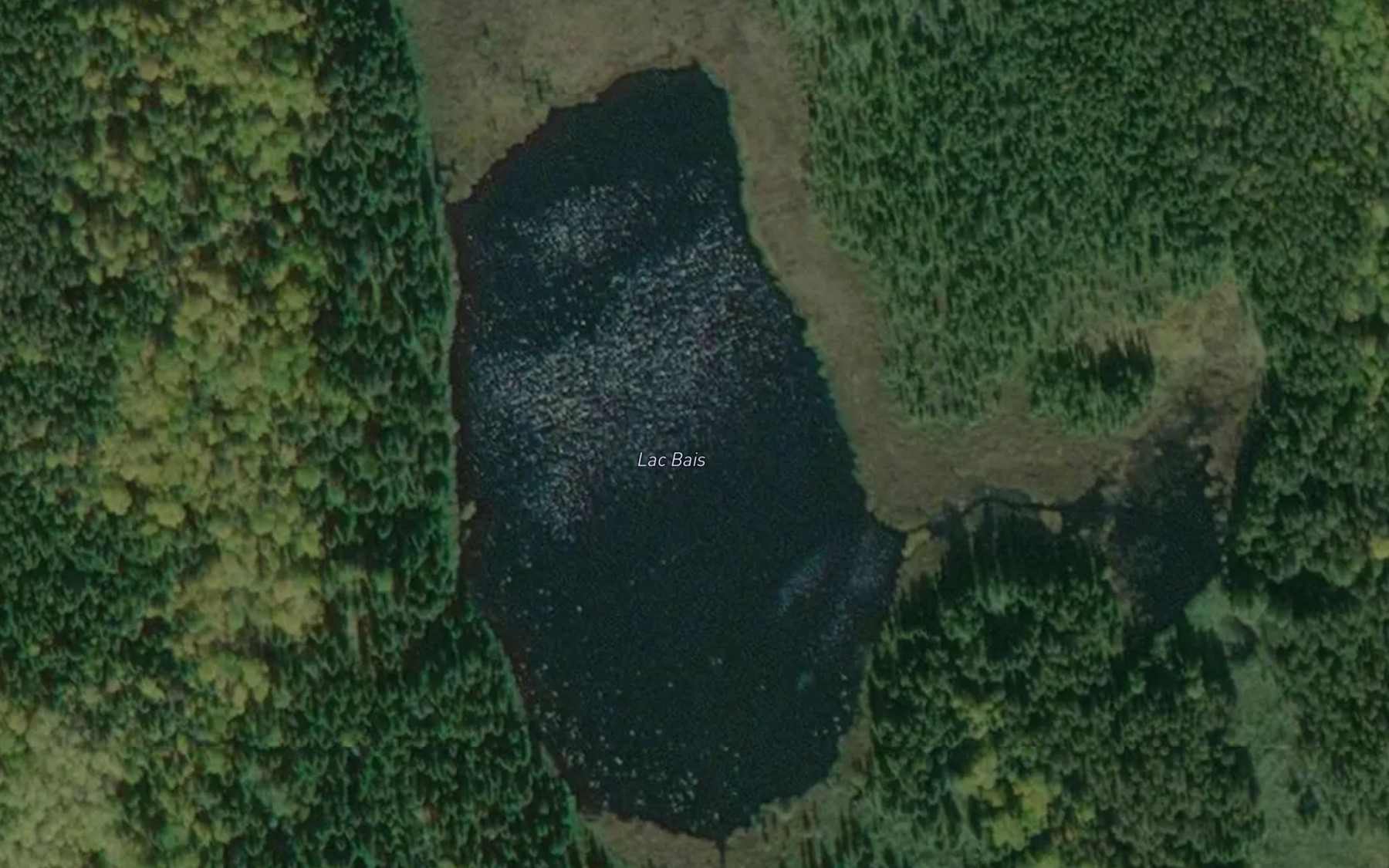 Satellite map of the Lac Bais