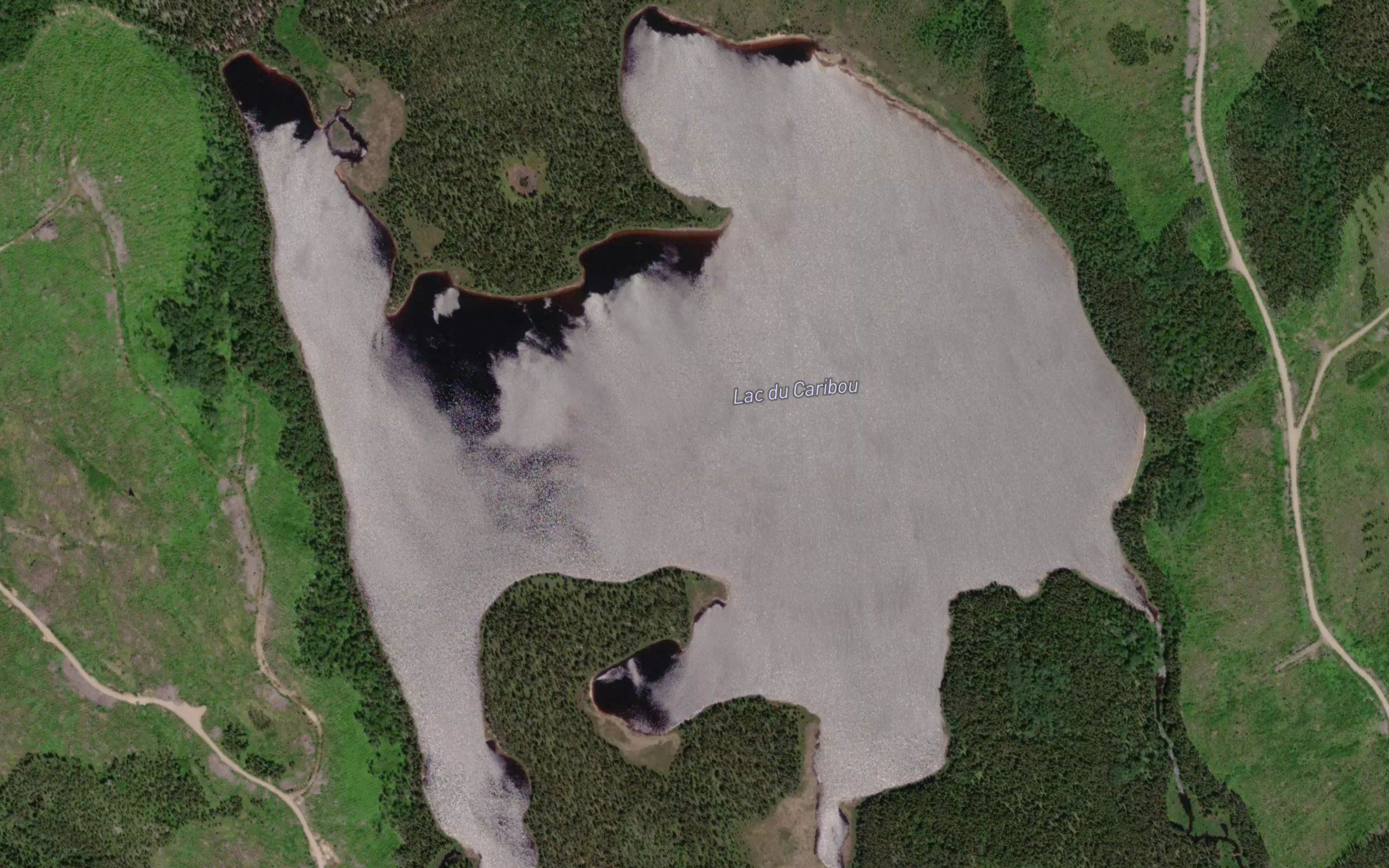 Lac du Caribou