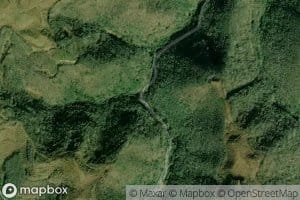 Mazie Branch