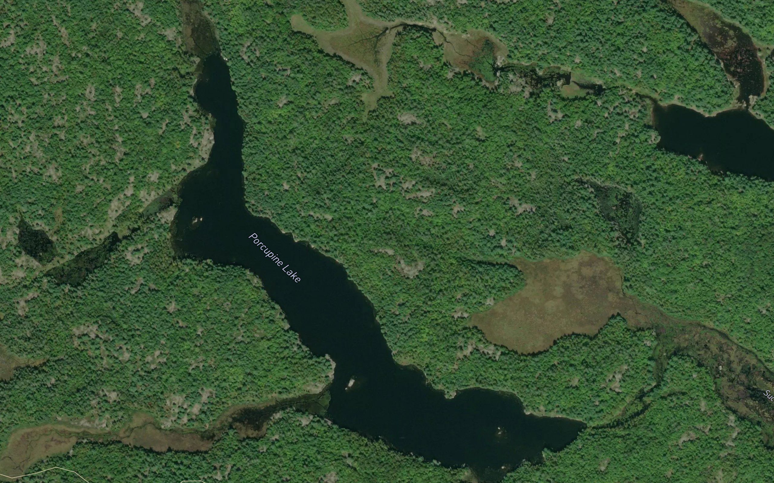 Porcupine Lake