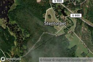 Silvkoparen
