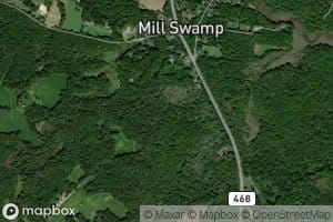 Mill Swamp Branch