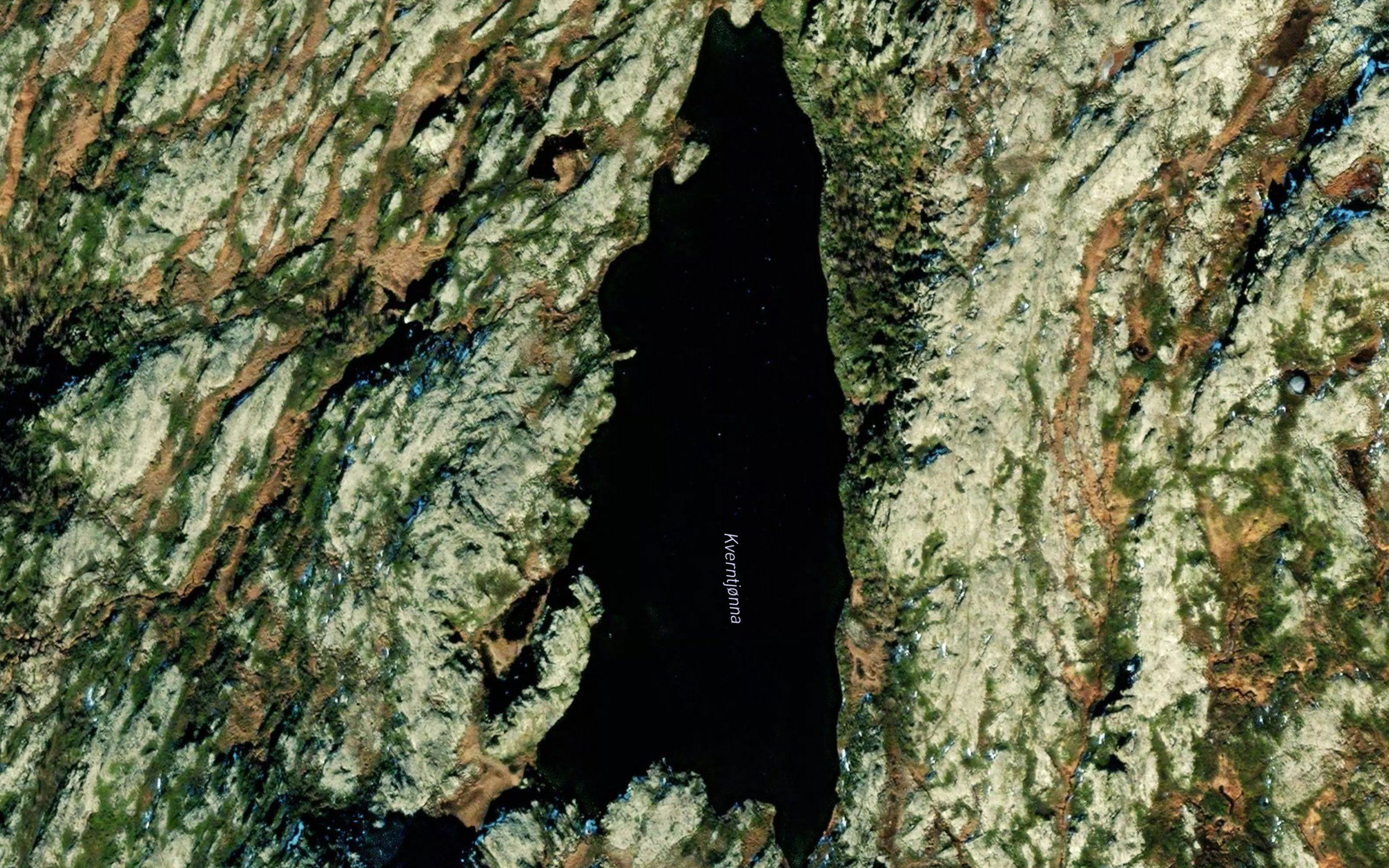 Kverntjorna