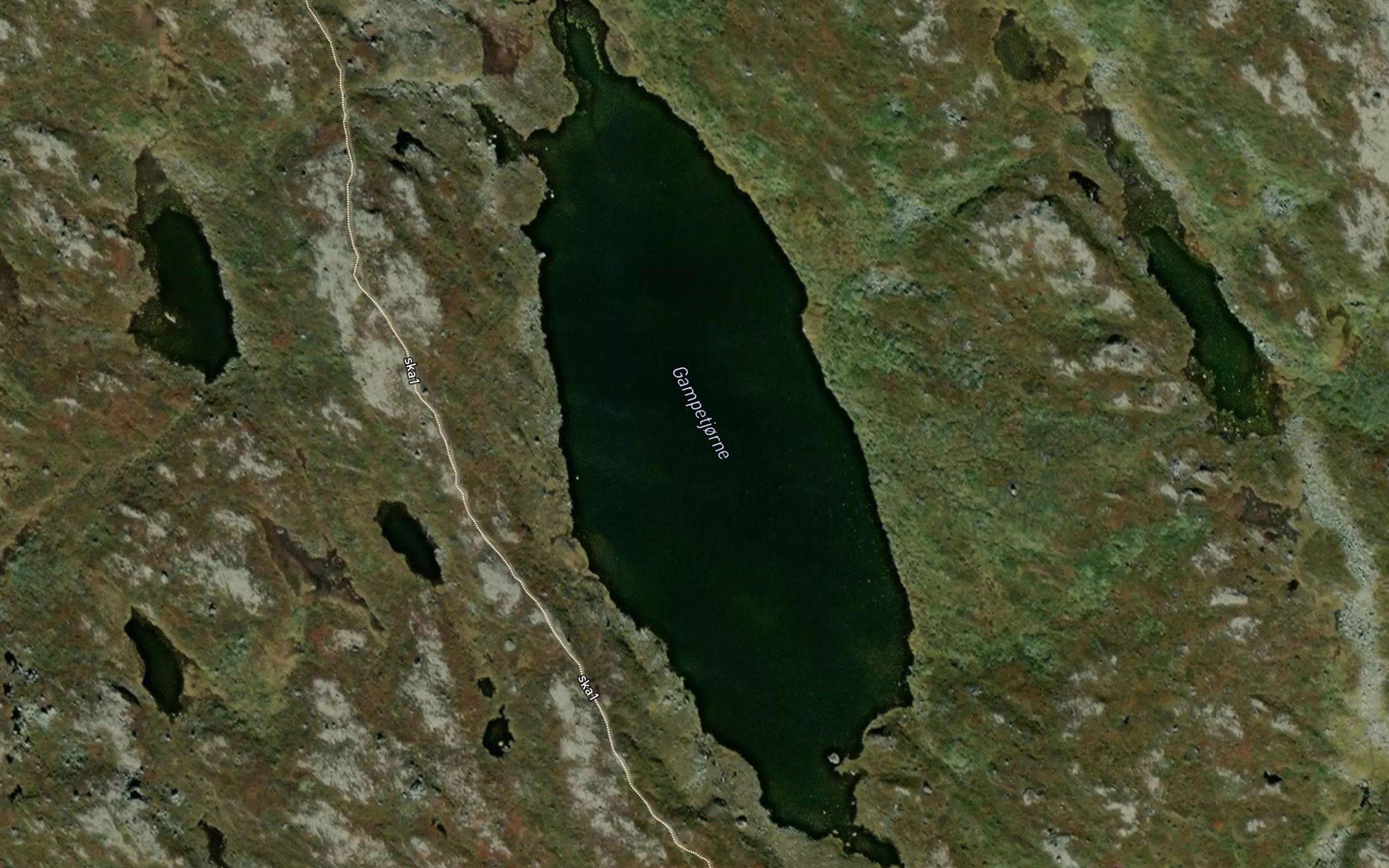 Gampetjorne