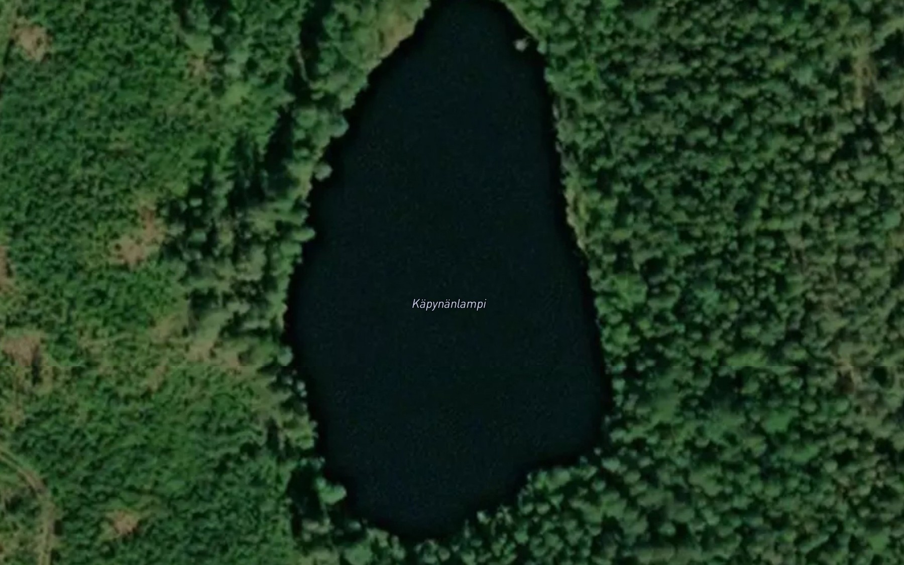 Satellite map of the Kapynanlampi