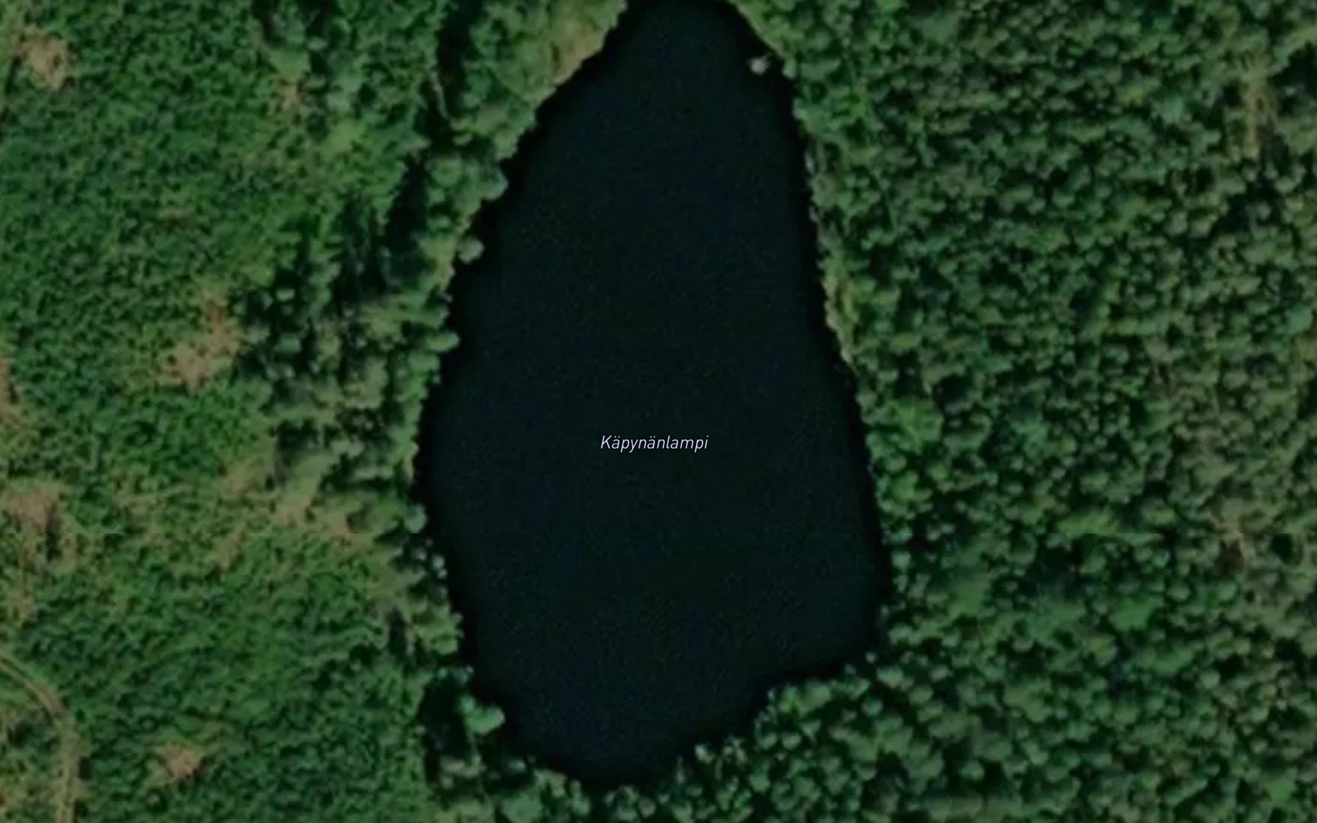 Kapynanlampi