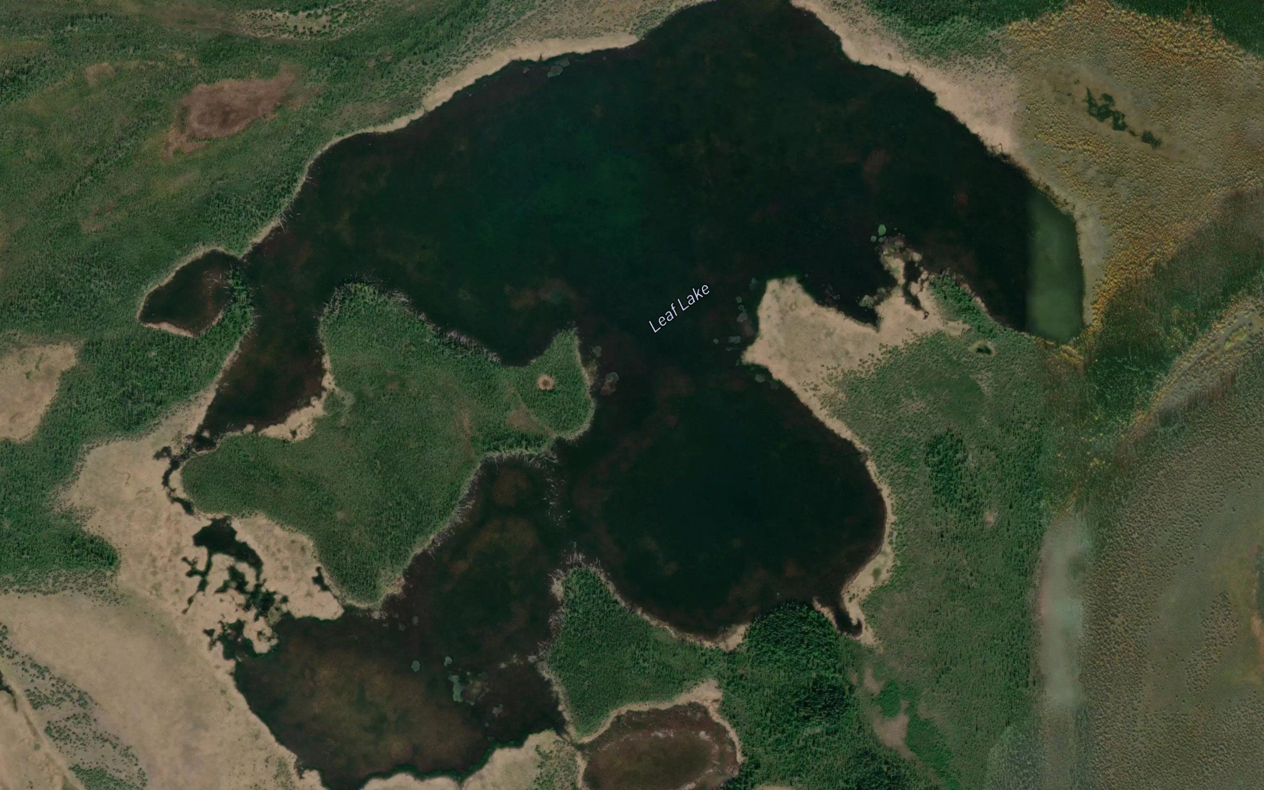 Leaf Lake