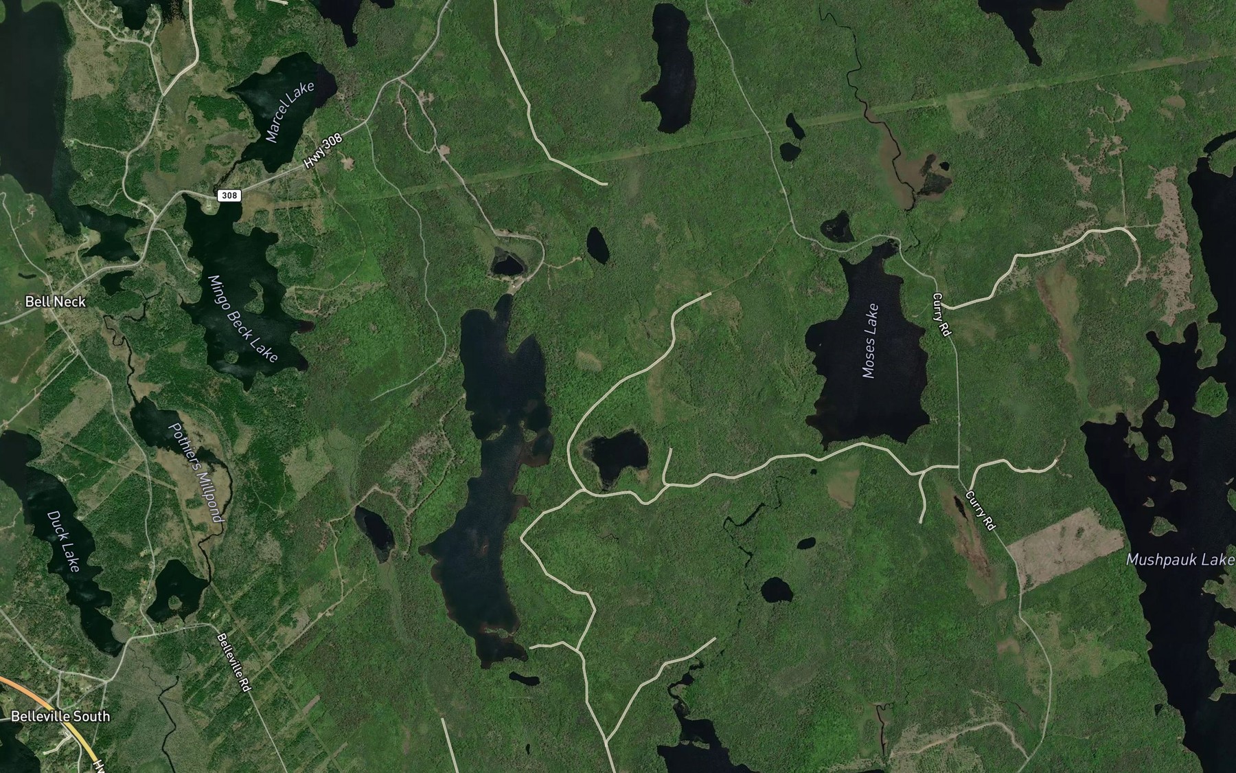 Satellite map of the Eastern Duck Pond