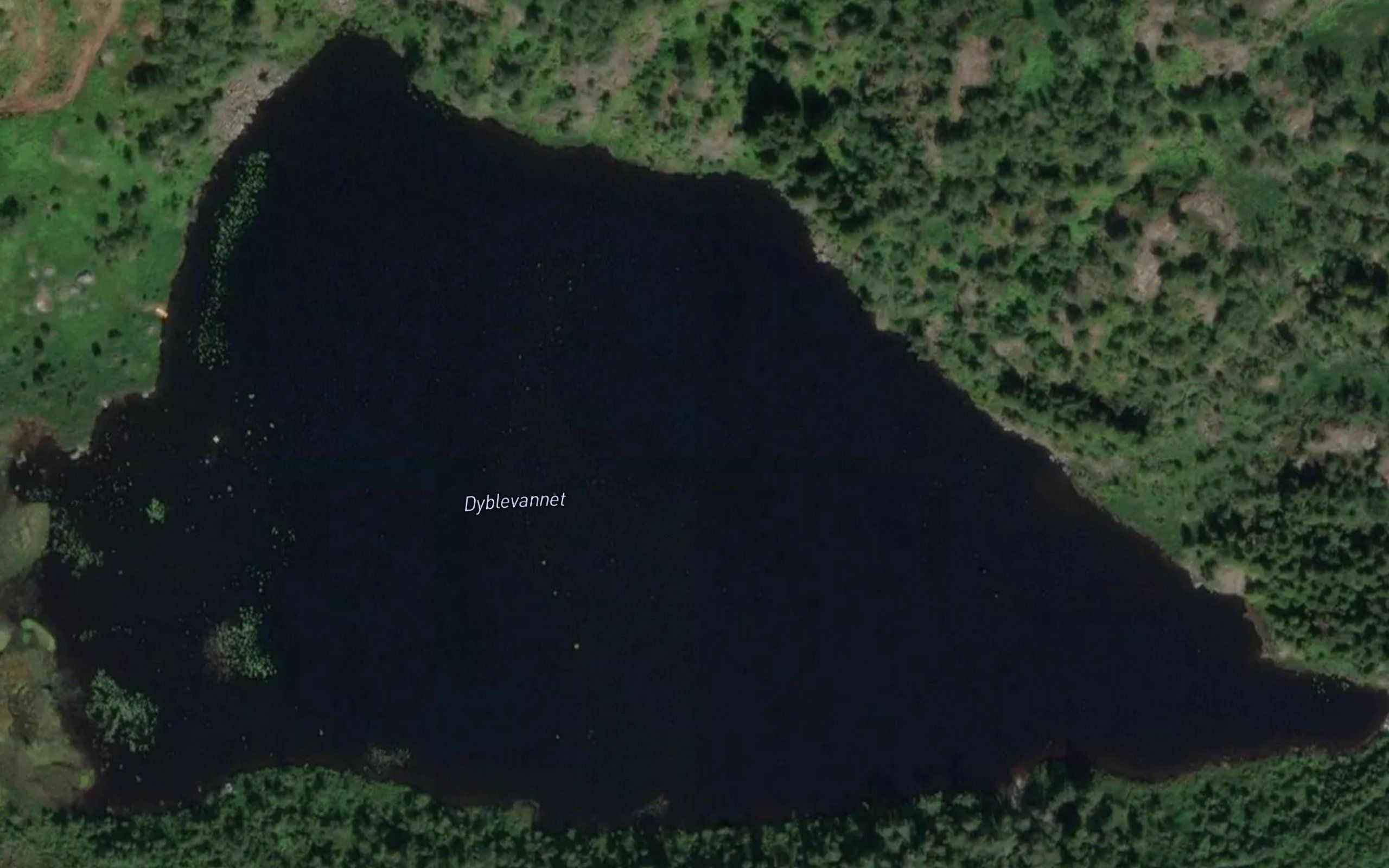Dyblevannet