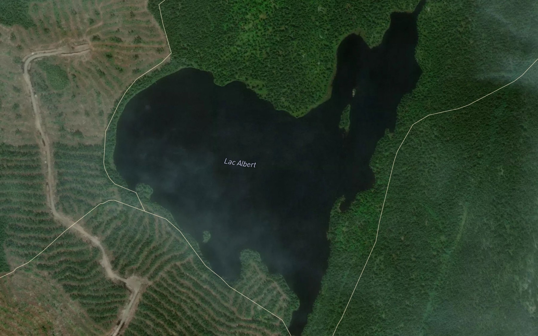 Satellite map of the Lac Albert