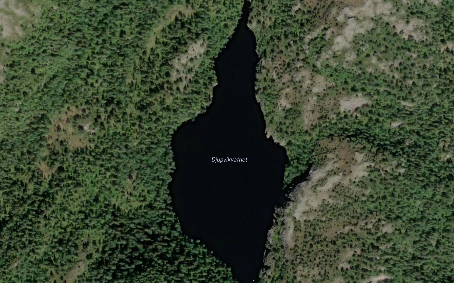 Satellite map of the Djupvikvatnet