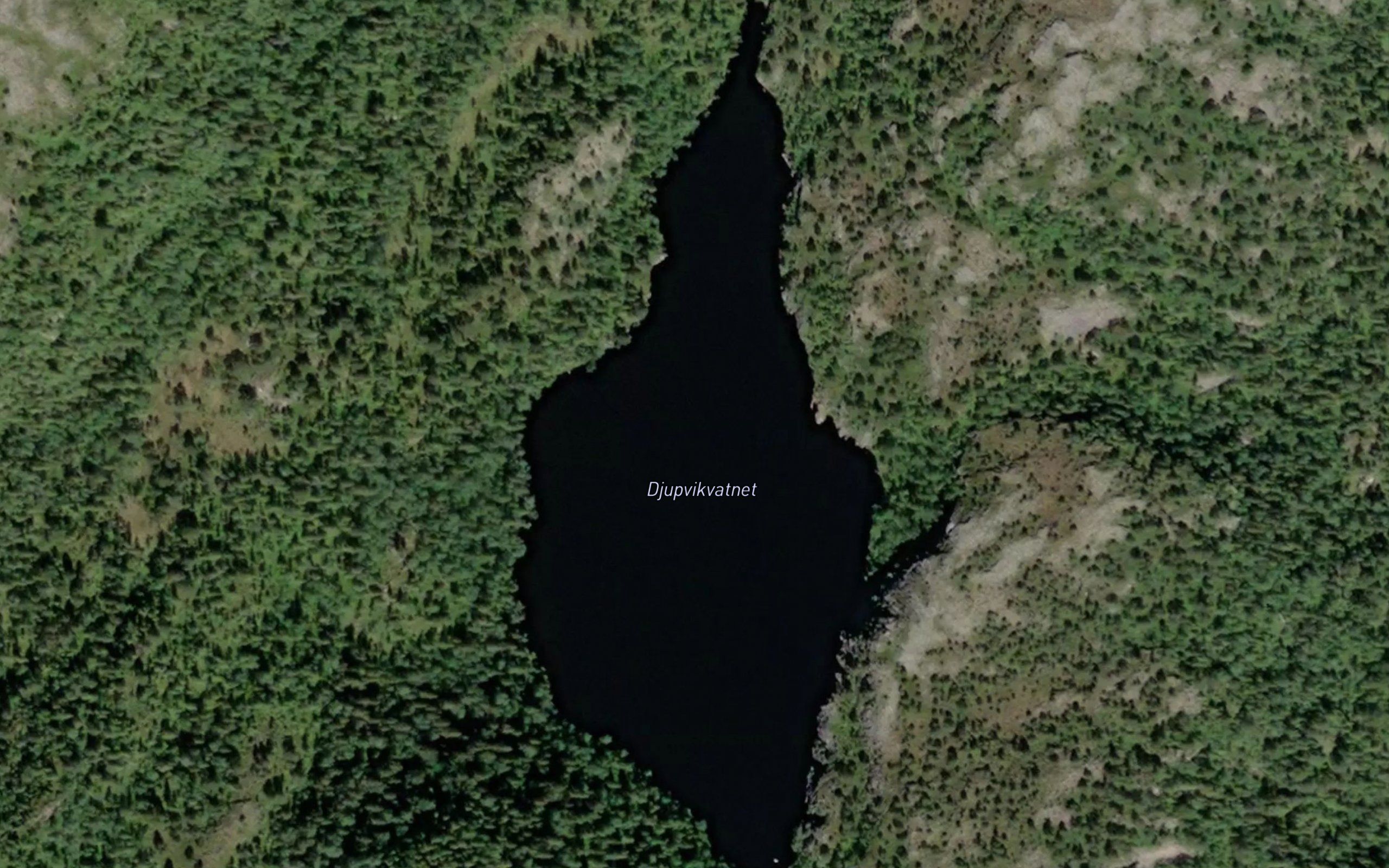 Djupvikvatnet