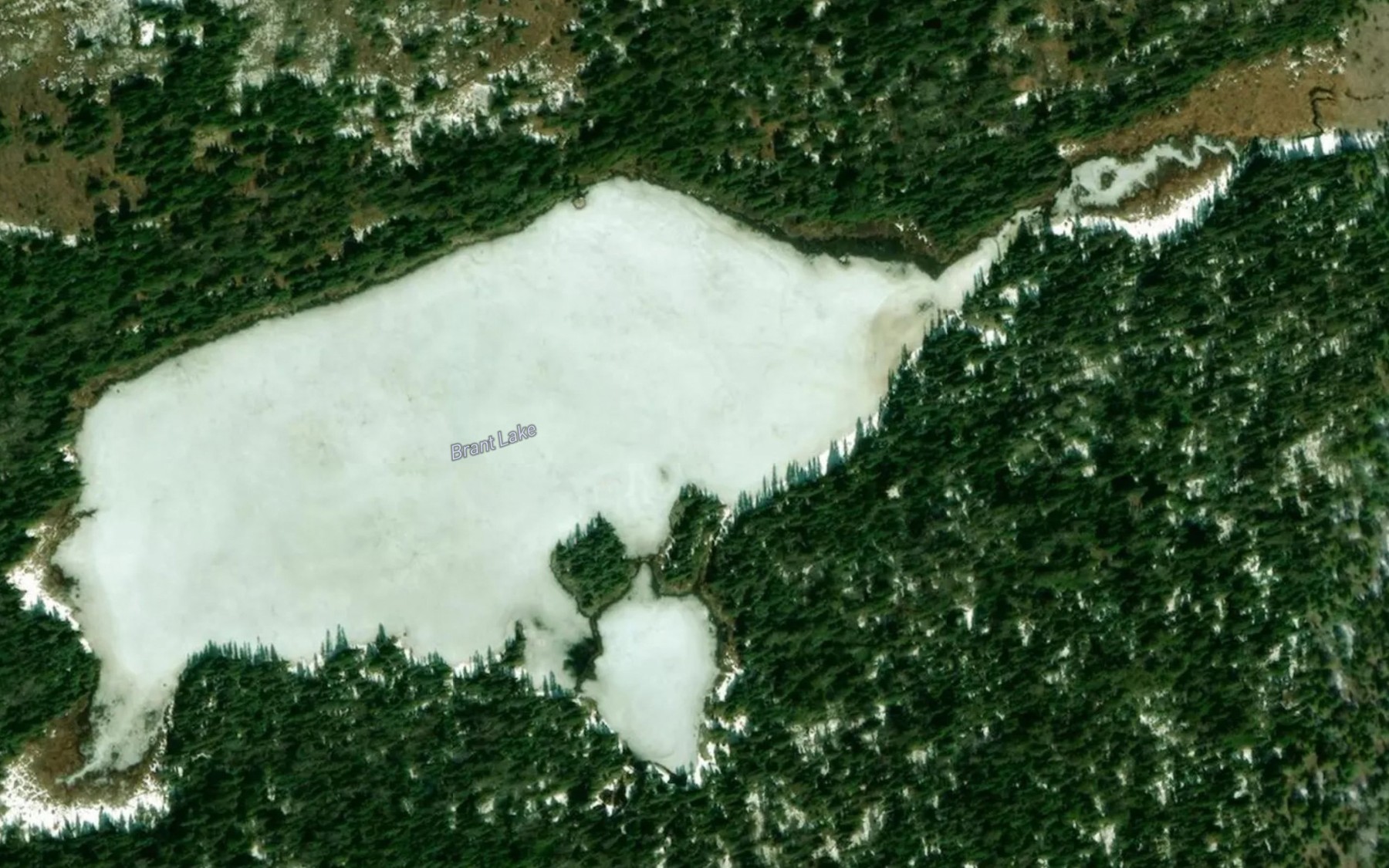 Satellite map of the Brant Lake