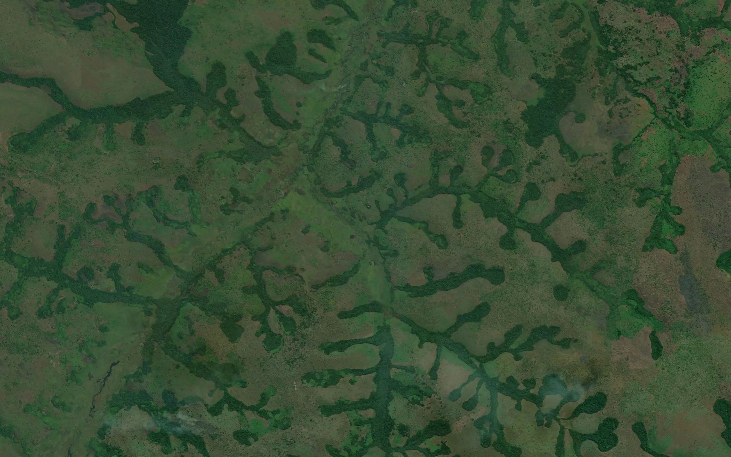 Kambole