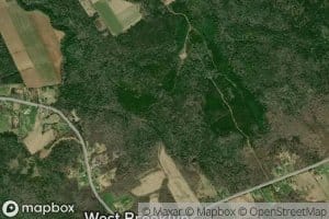 Anderson Brook