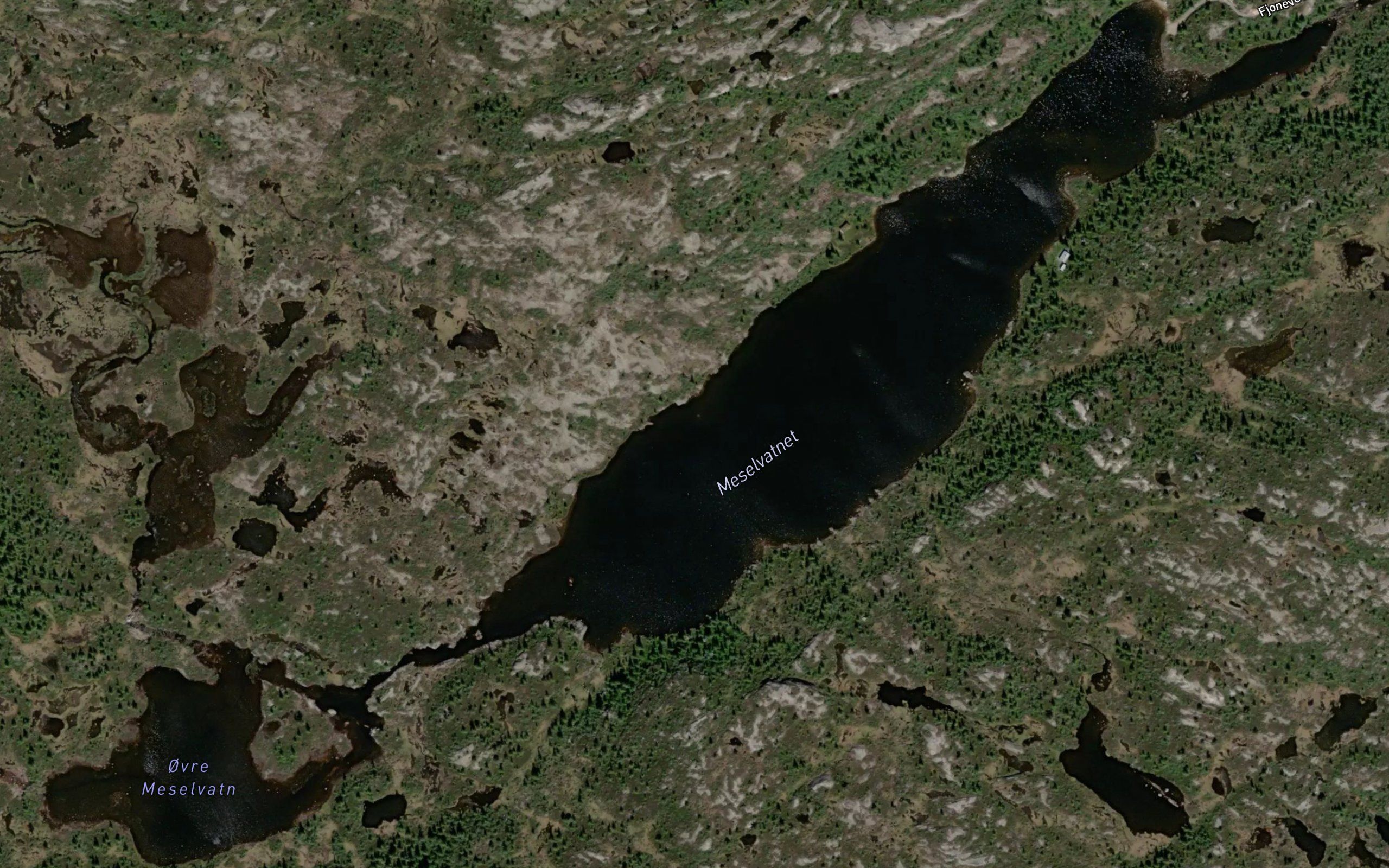 Meselvatnet