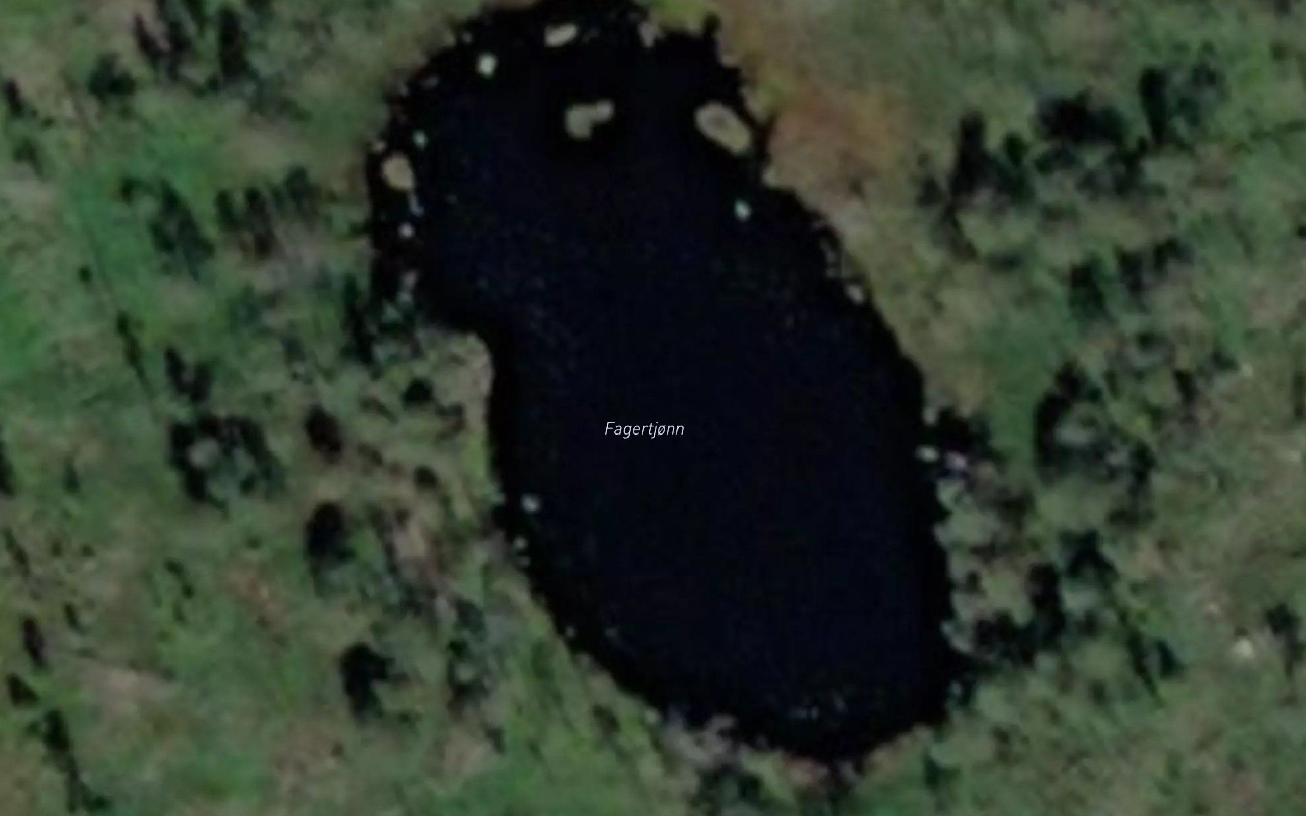 Fagertjonn