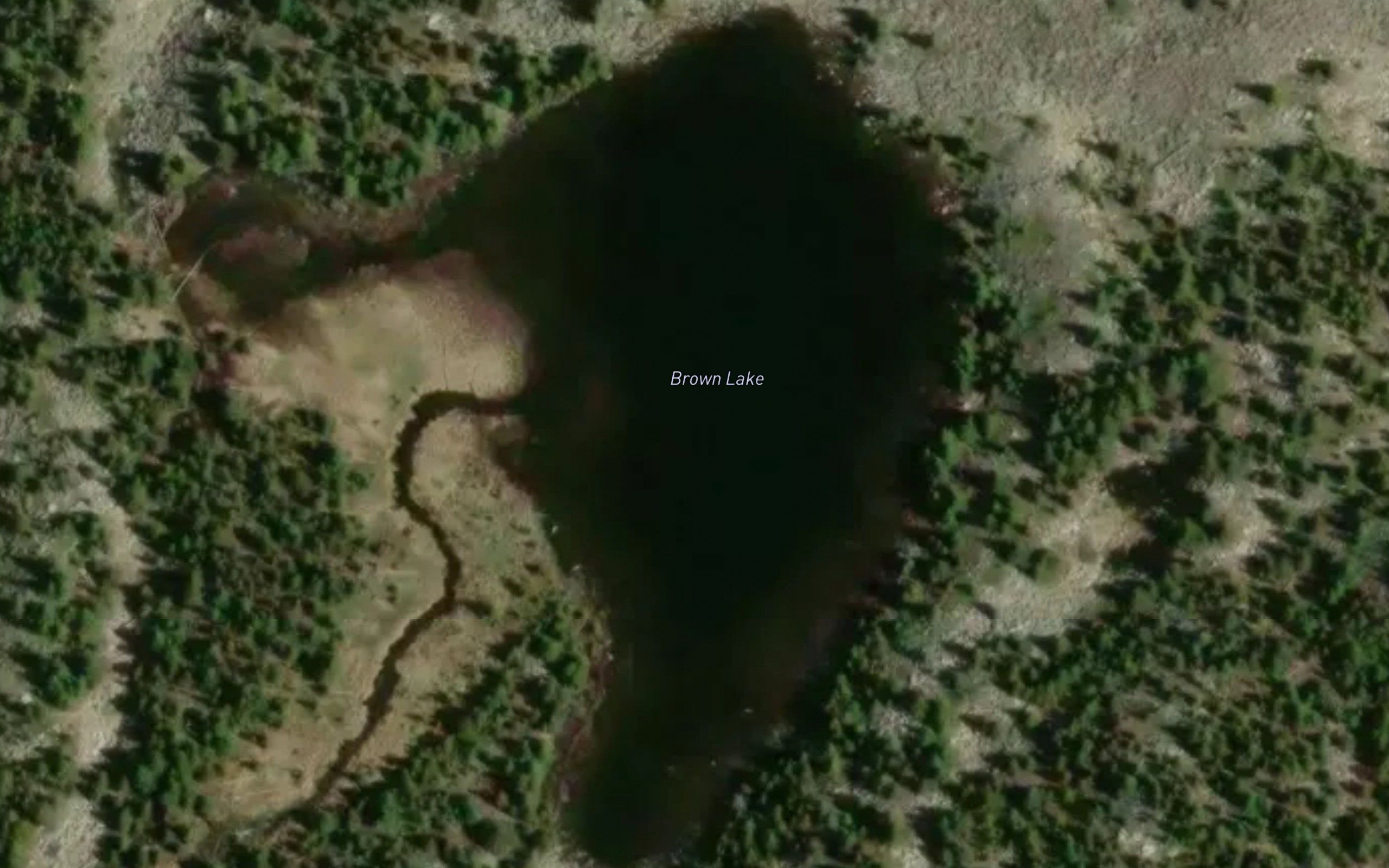 Brown Bear Lake