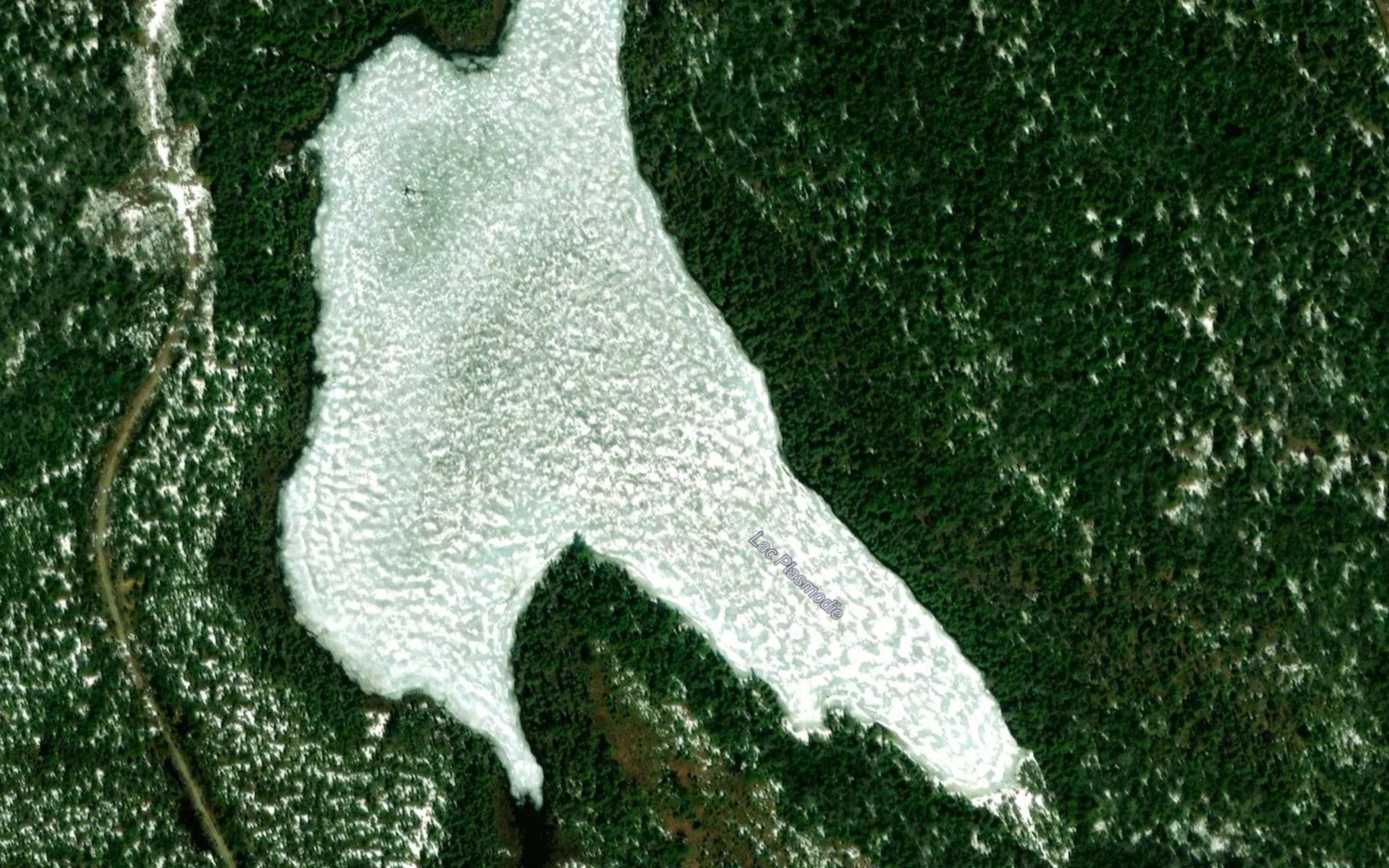 Lac Plasmodie