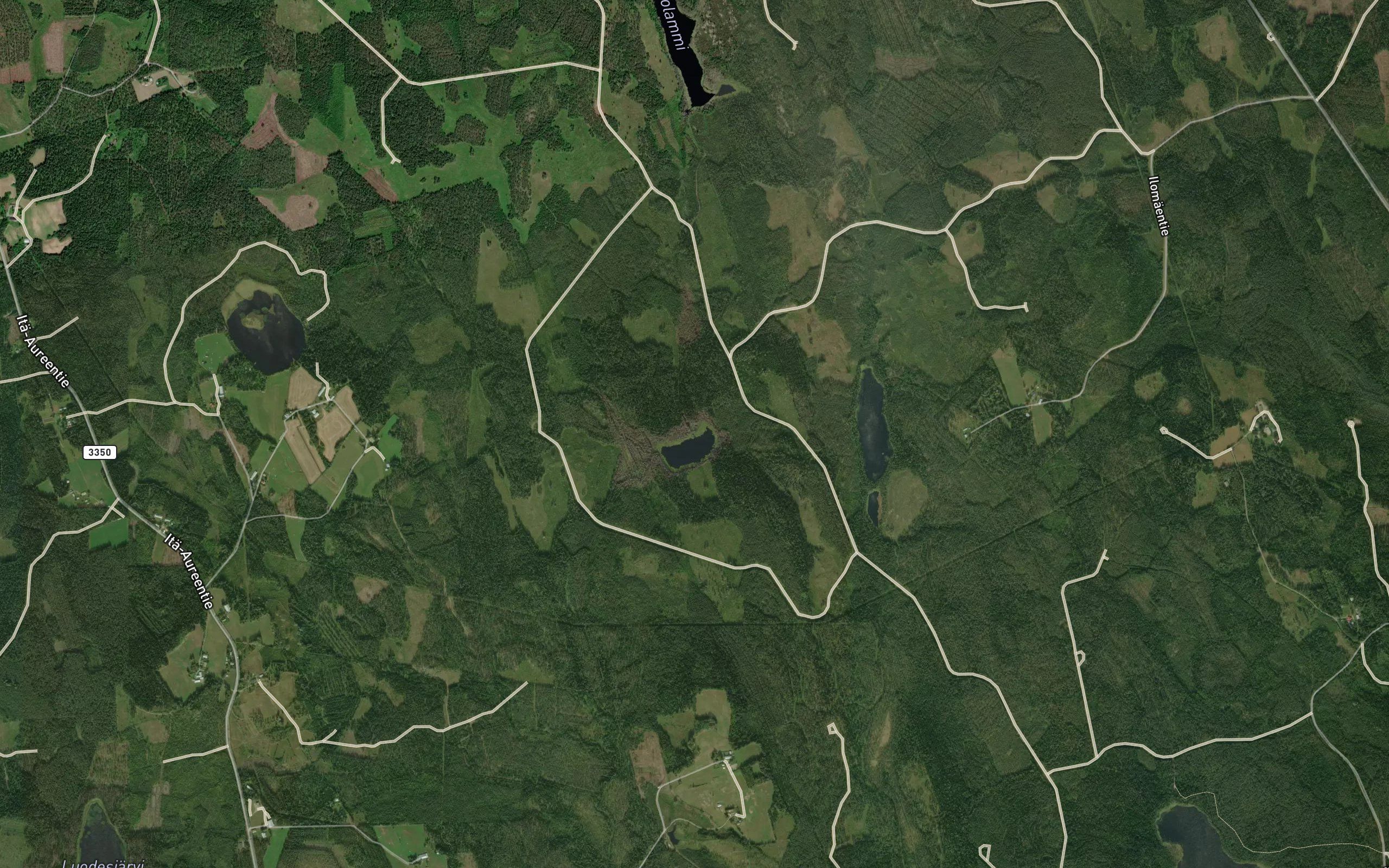 Kantolamminoja