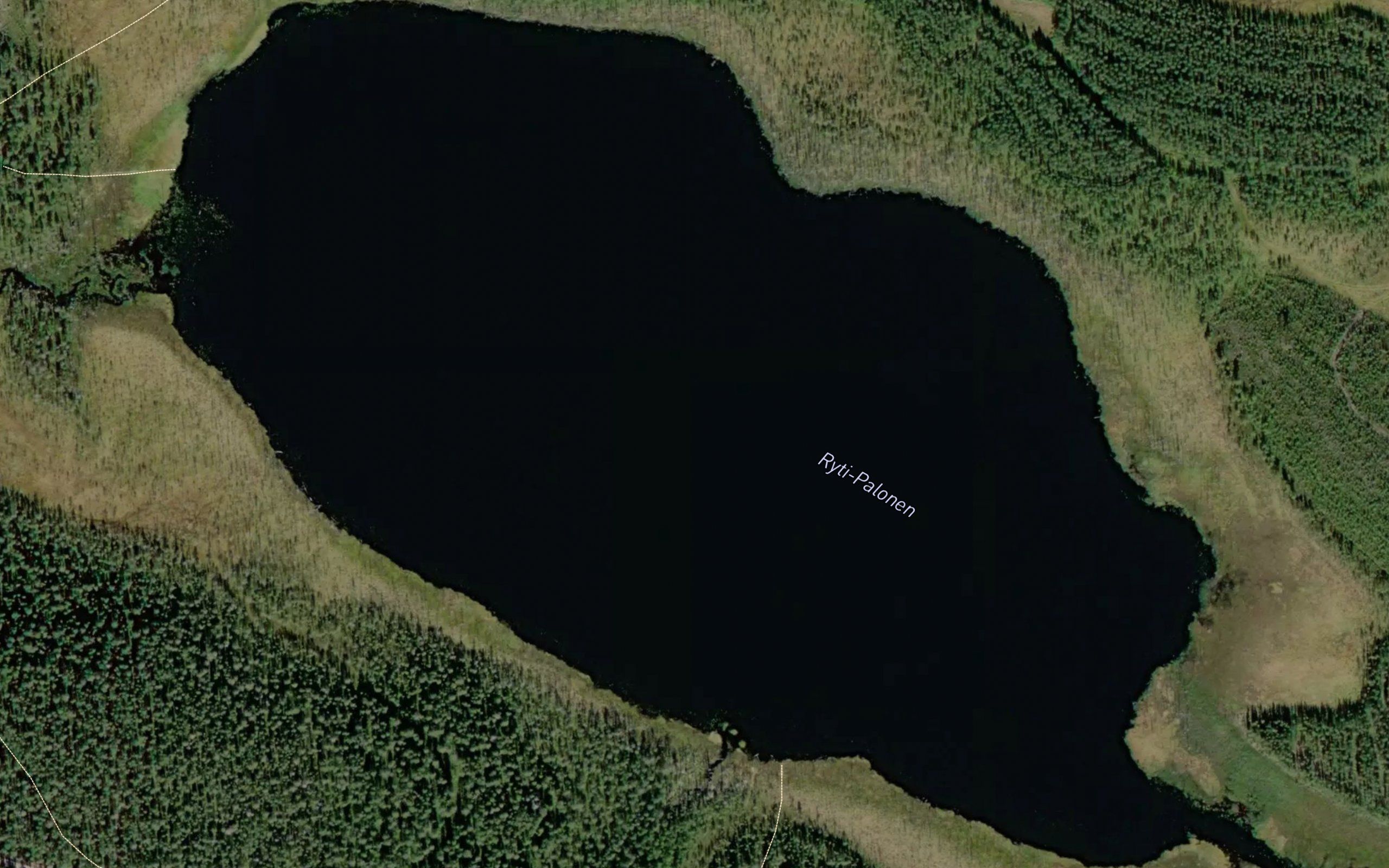 Rytipalonen