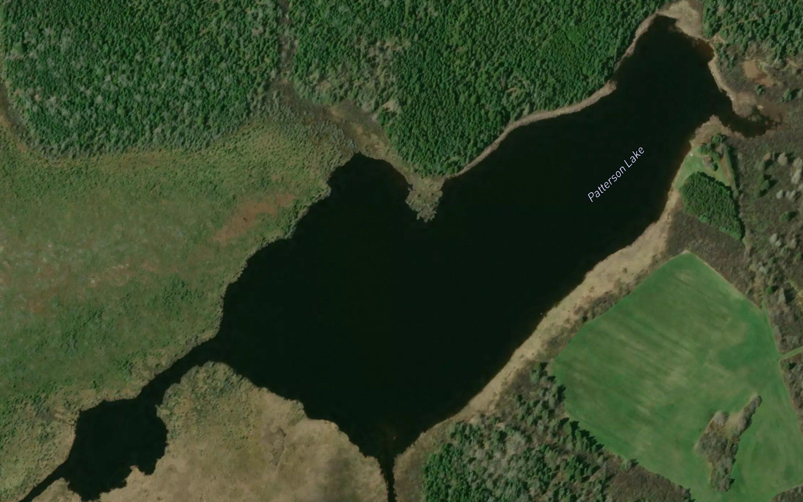 Patterson Lake