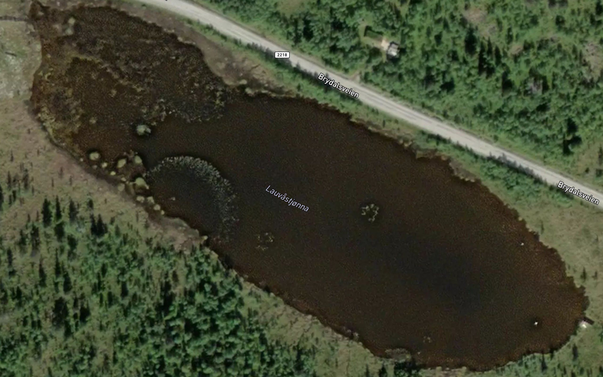 Lauvastjorna