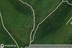 East Branch Canada Run