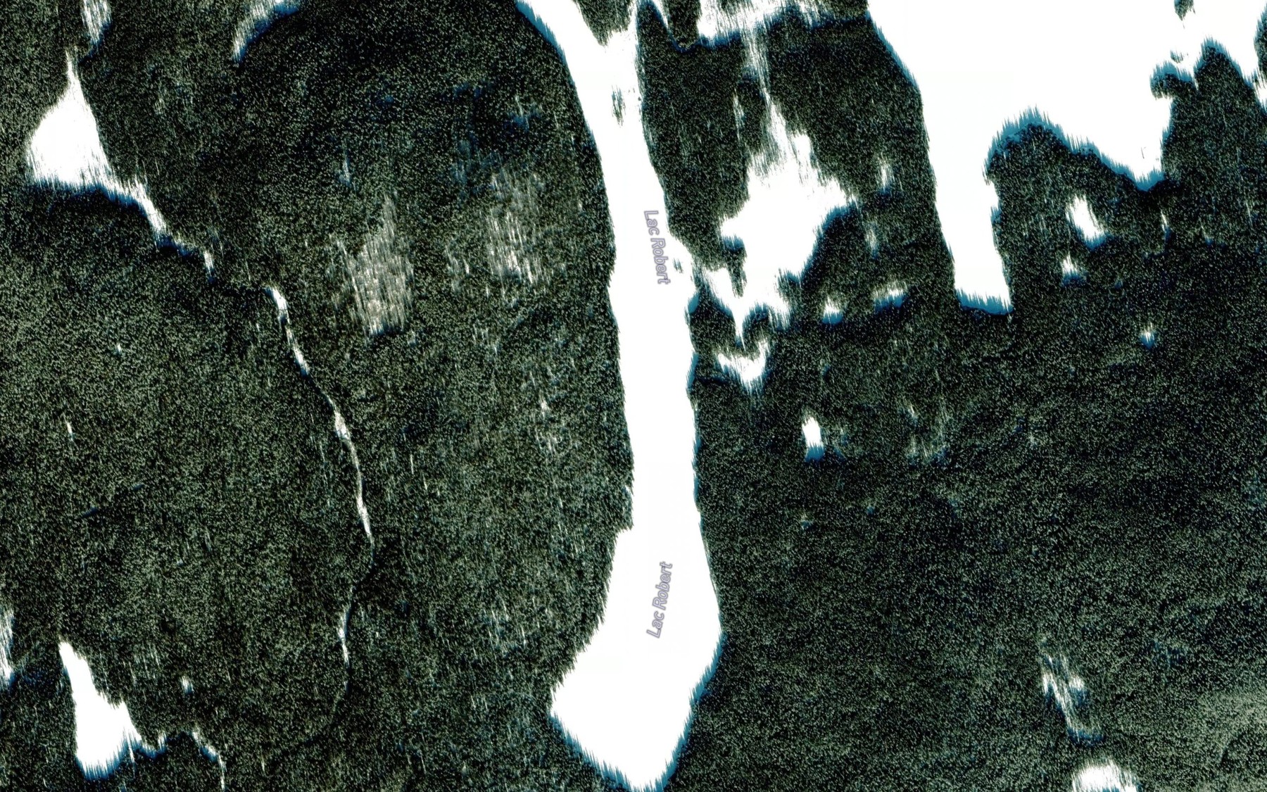 Satellite map of the Lac Robert