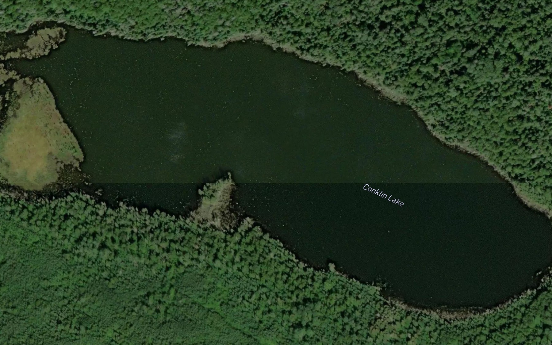 Satellite map of the Conklin Lake