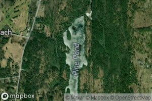 Pine Pond