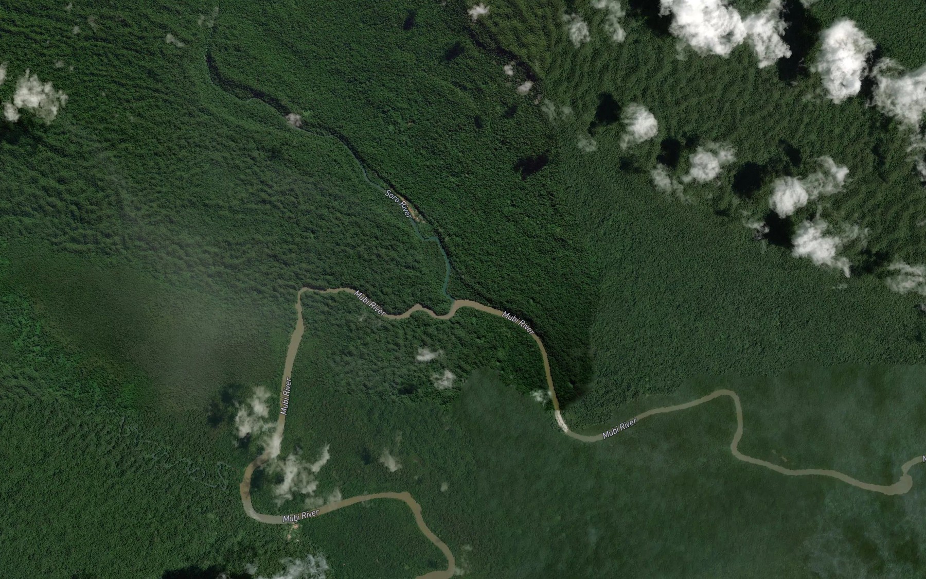 Satellite map of the Digimu River