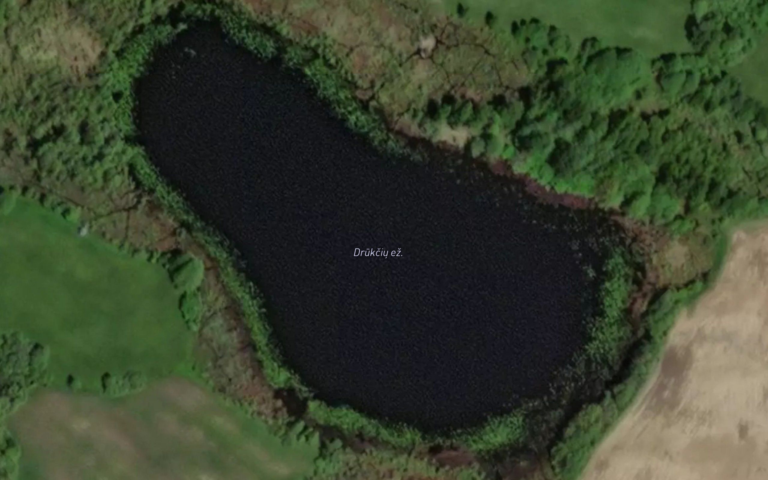 Drukciu Ezeras