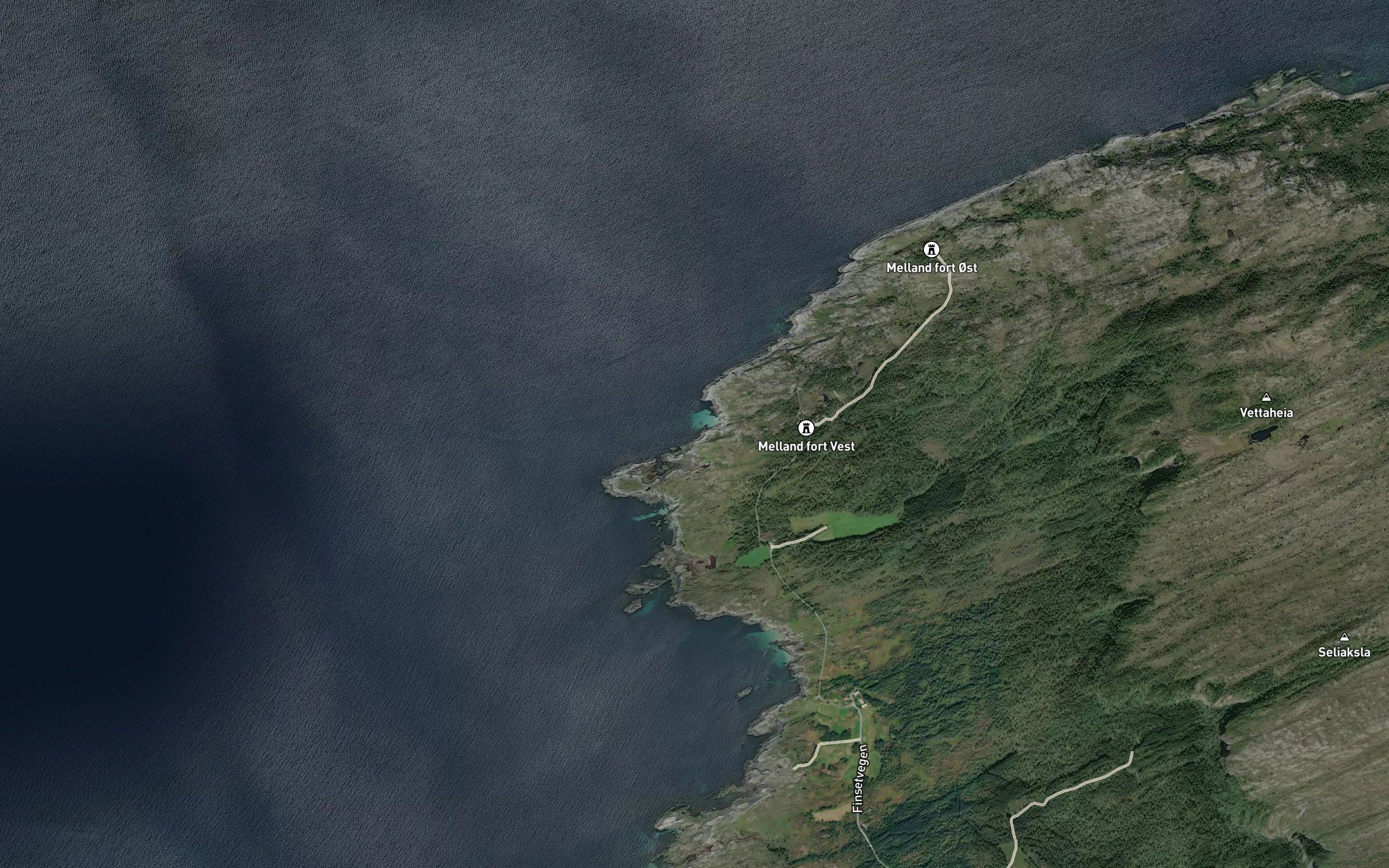Korsvika