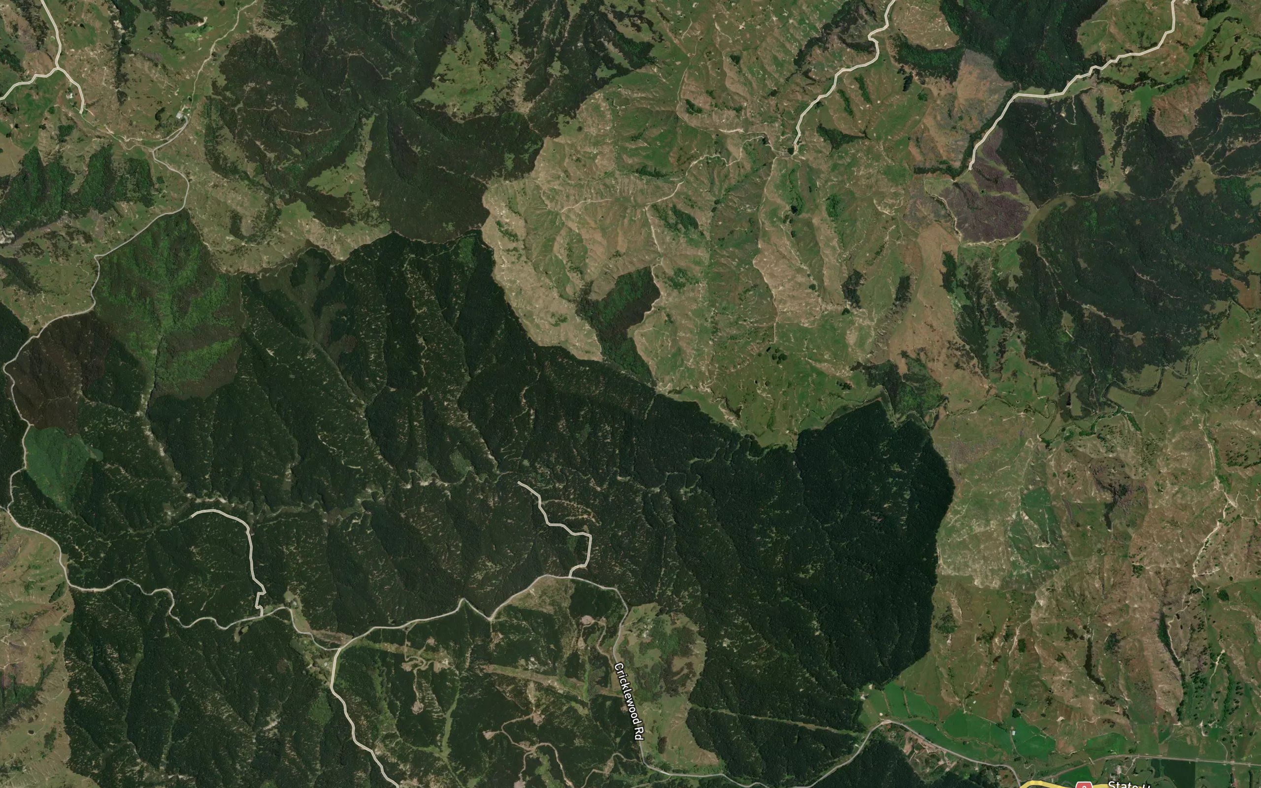Tutaekuri River