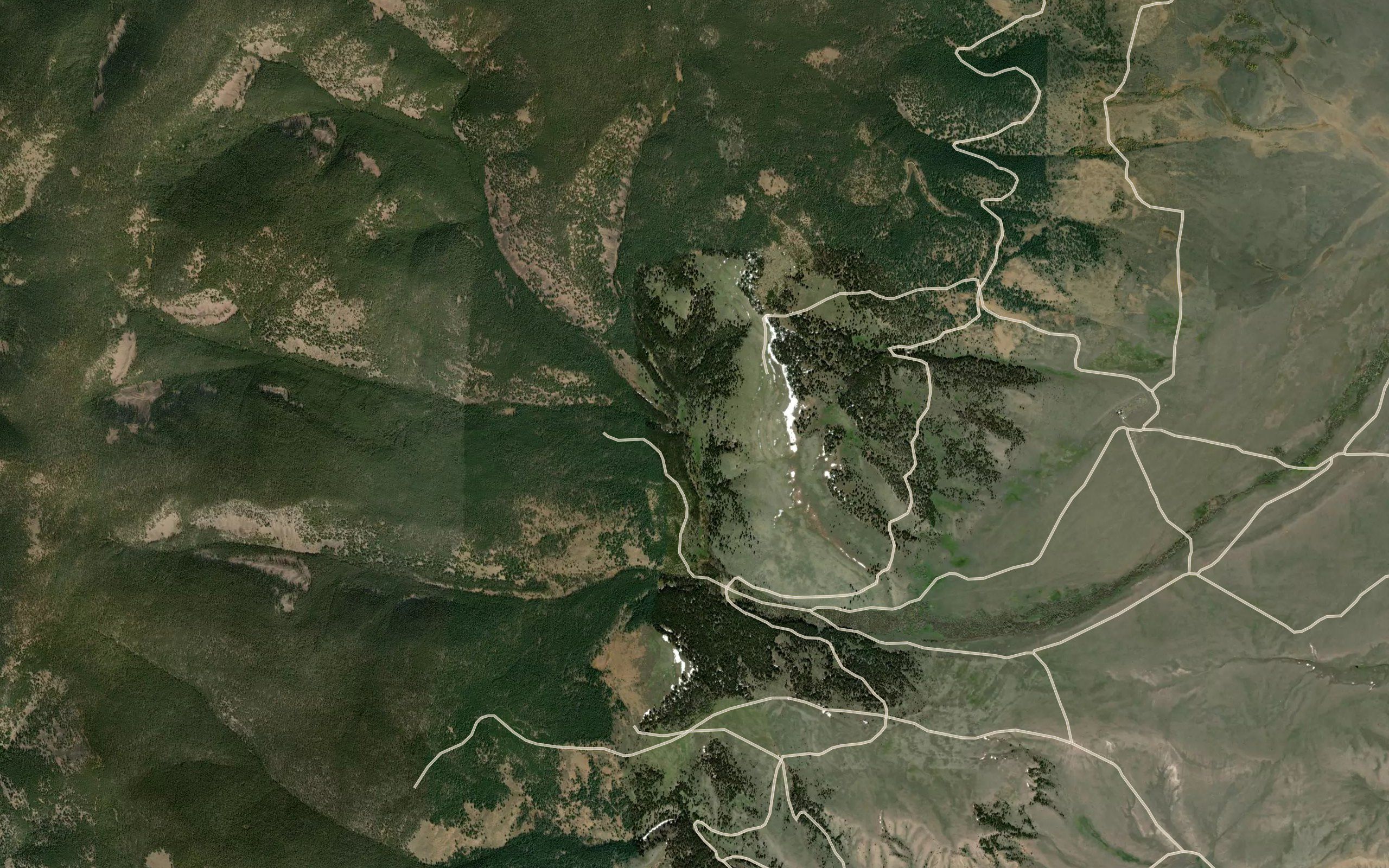 Right Fork Buffalo Creek