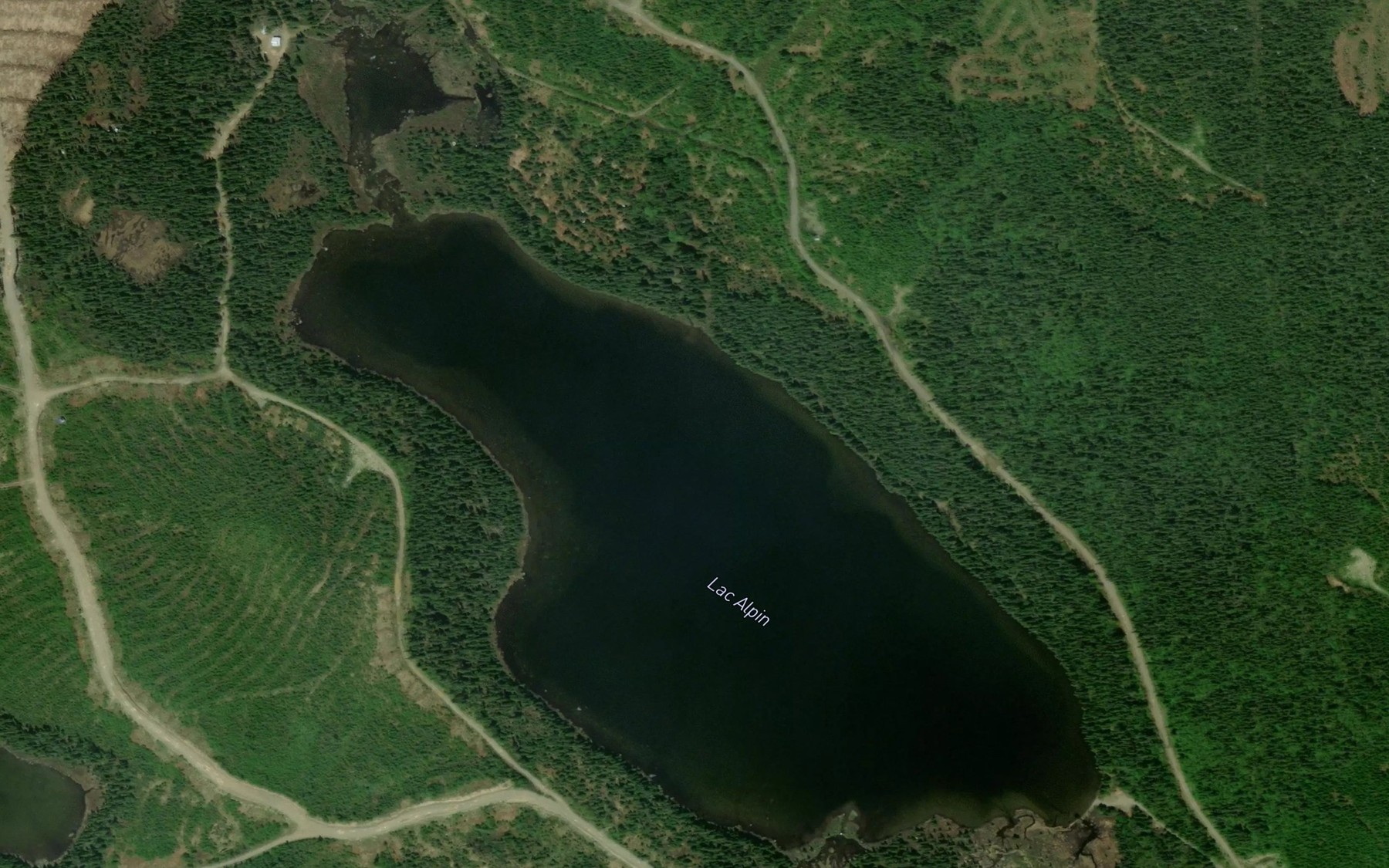 Satellite map of the Lac Alpin