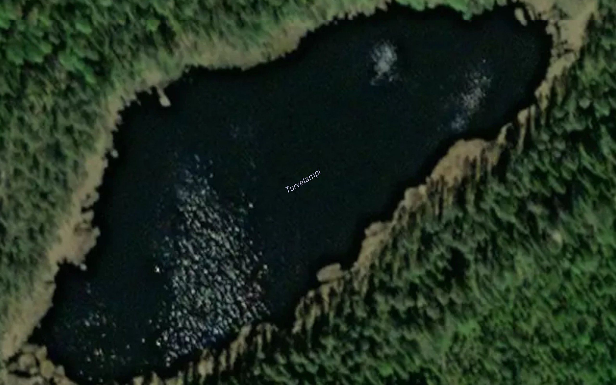 Turvelampi